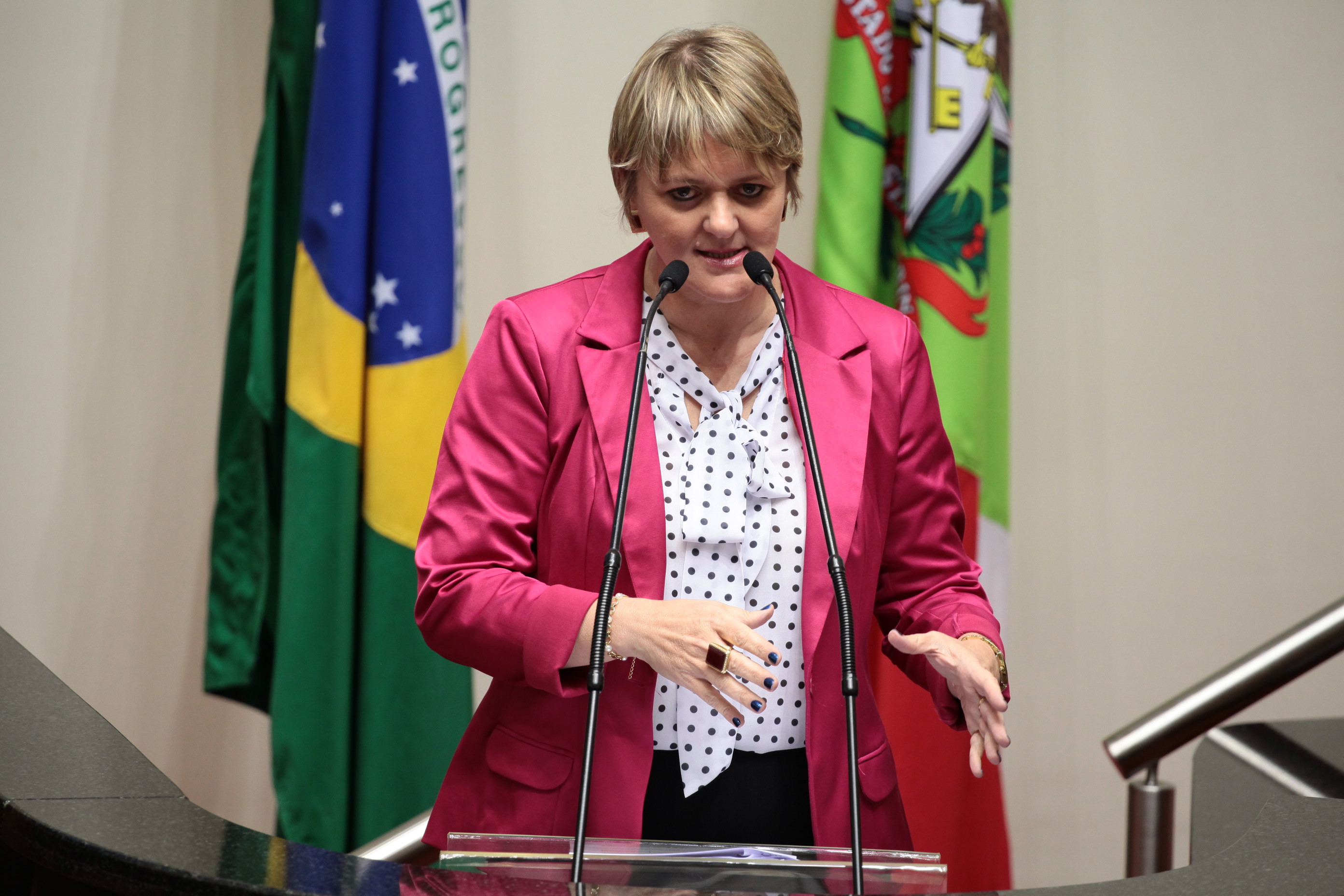 Sessão Ordinária. Deputada Luciane Carminatti (PT).