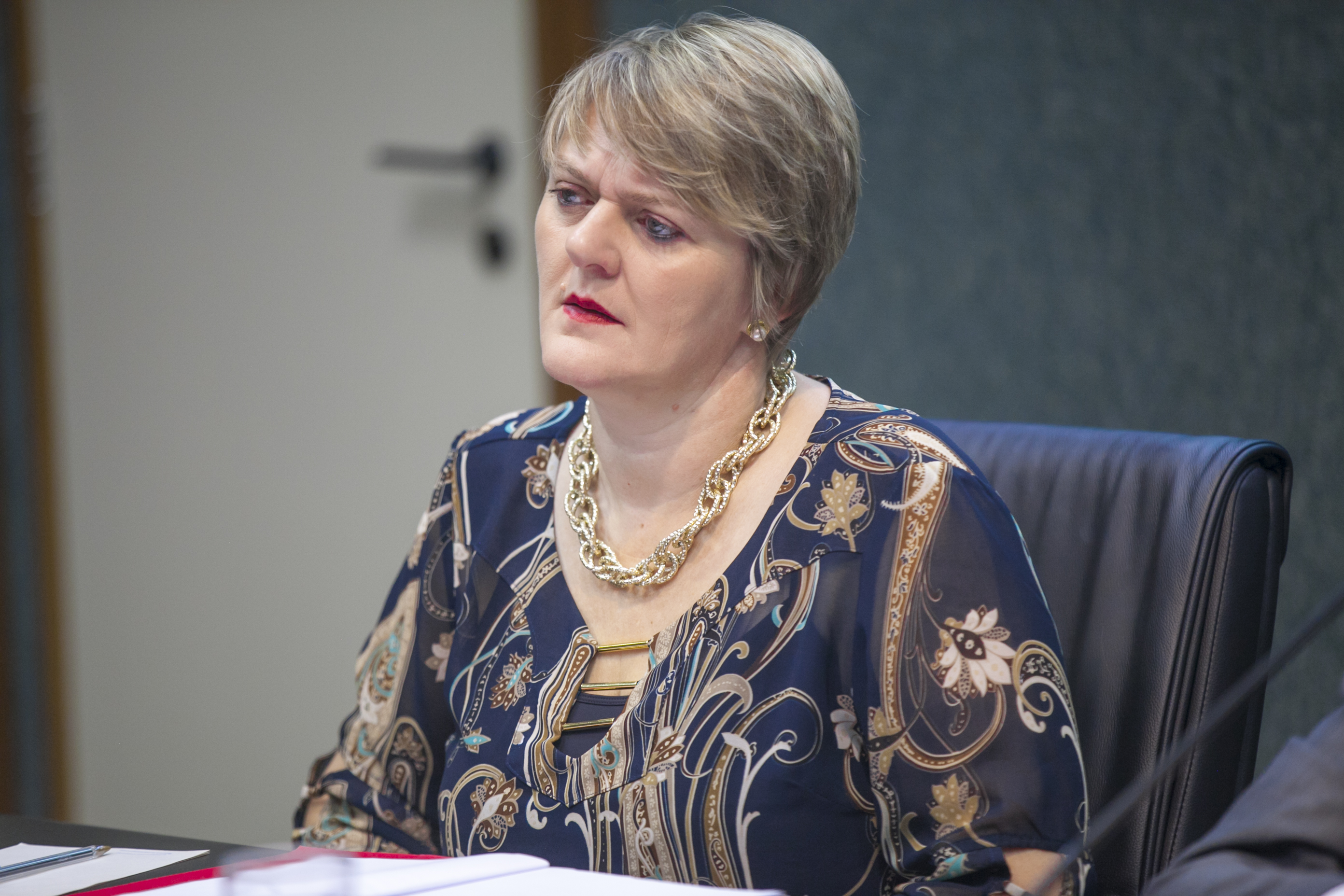 Deputada Luciane Carminatti (PT) - Comissão de Educação, Cultura e Desporto