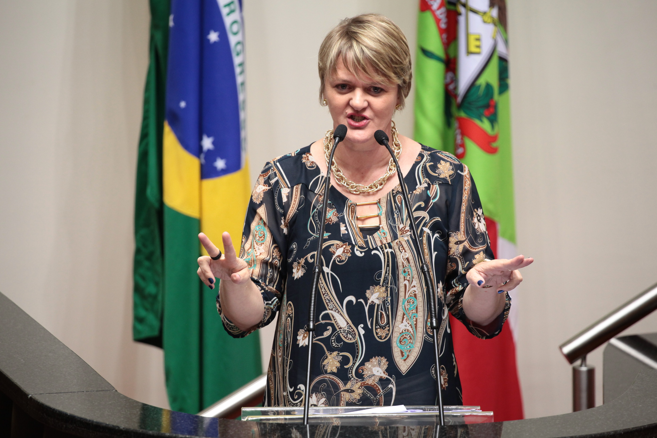 Sessão Ordinária. Deputada Luciane Carminatti (PT)