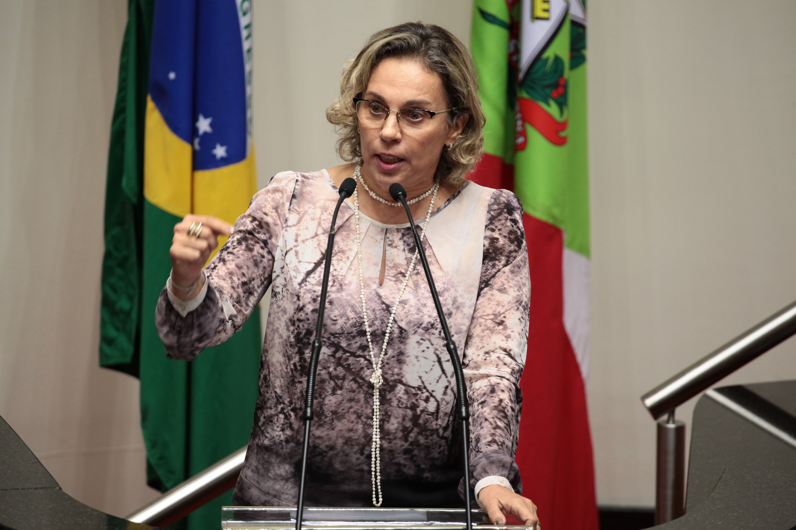Sessão Ordinária. Deputada Ana Paula Lima (PT)