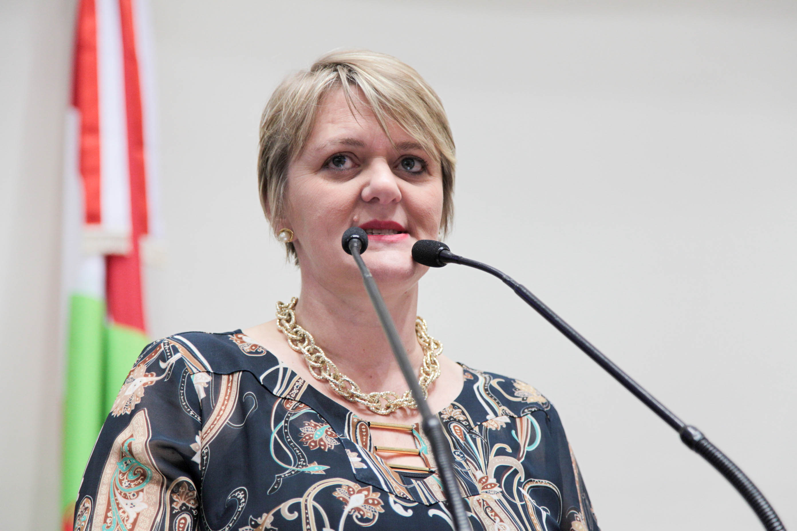 Sessão Ordinária. Deputada Luciane Carminatti (PT).