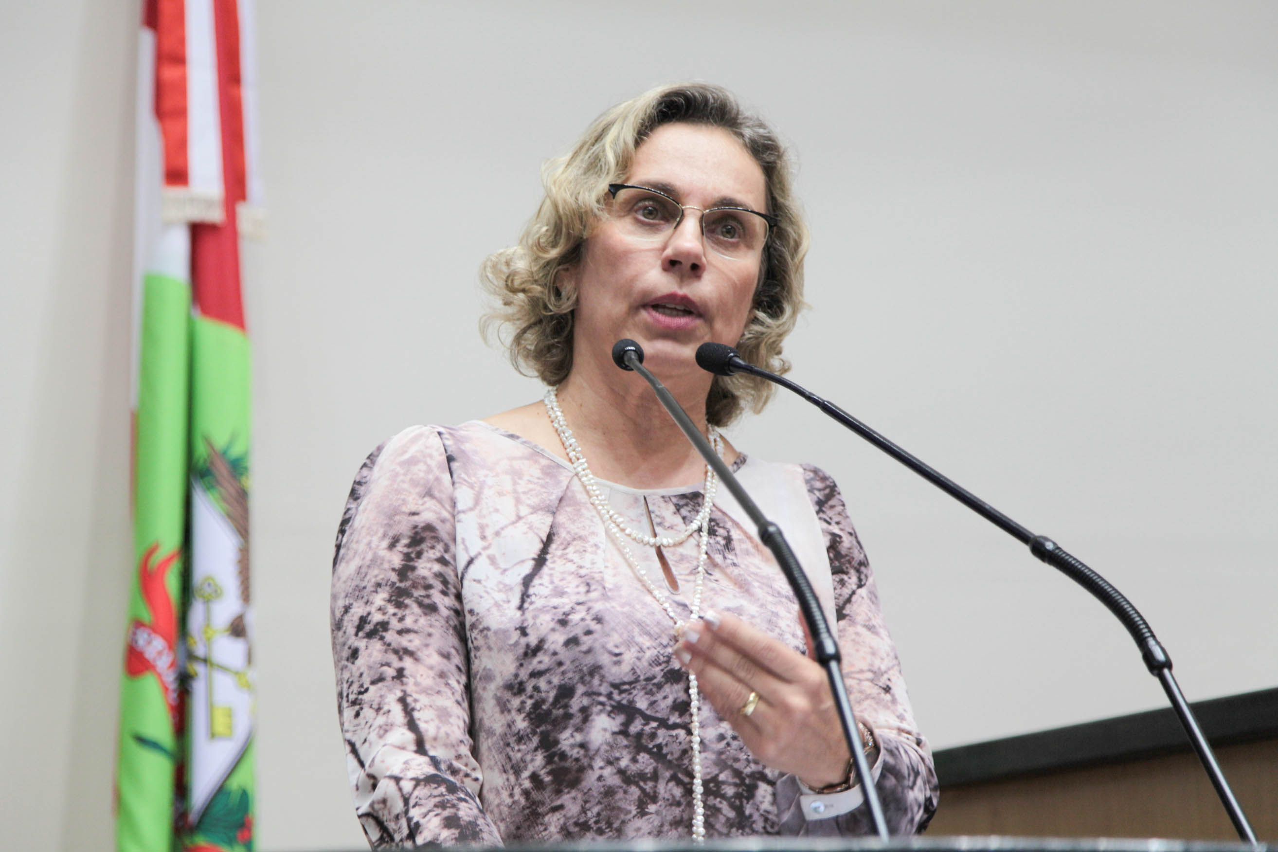 Sessão Ordinária. Deputada Ana Paula Lima (PT).
