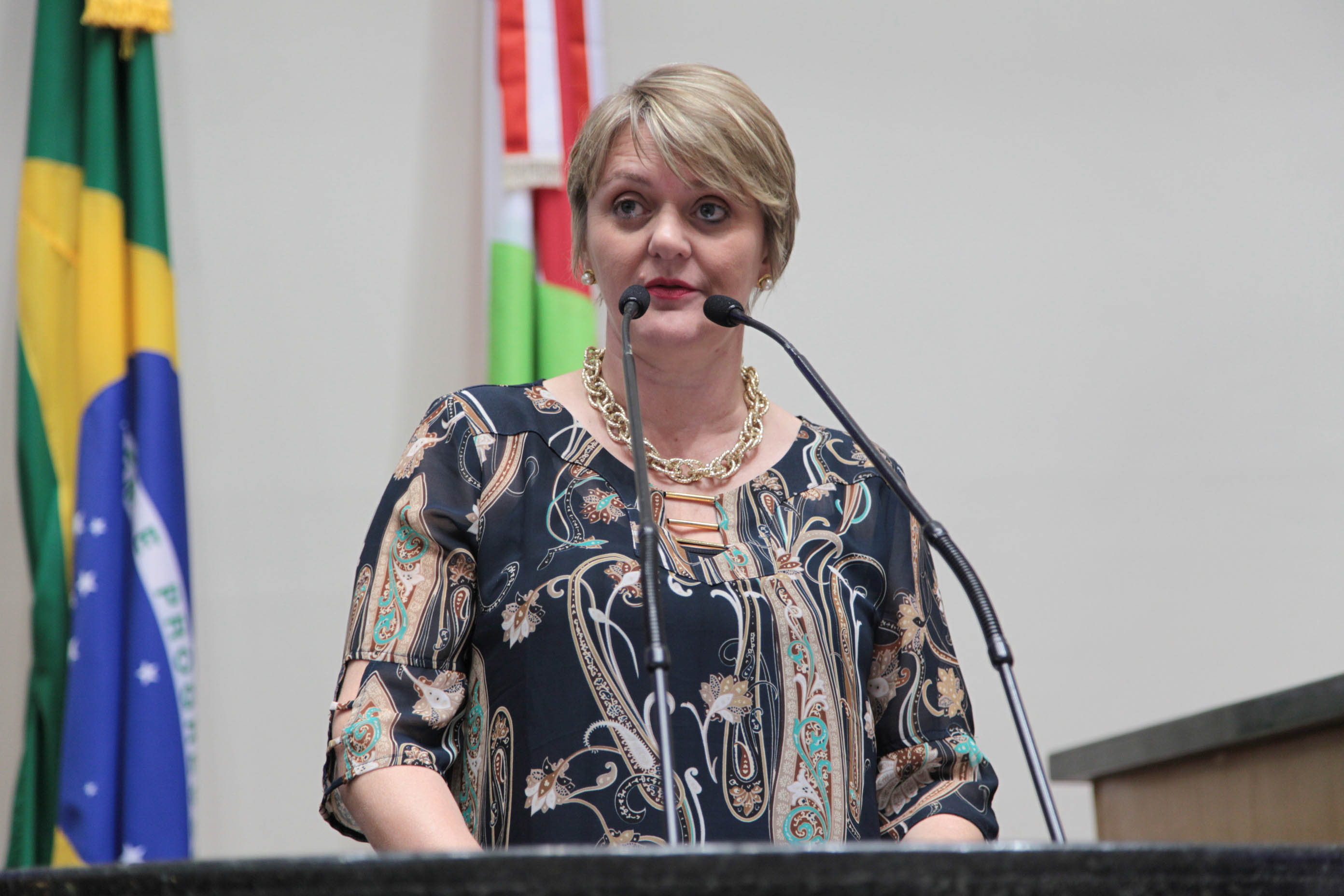 Sessão Ordinária. Deputada Luciane Carminatti (PT).