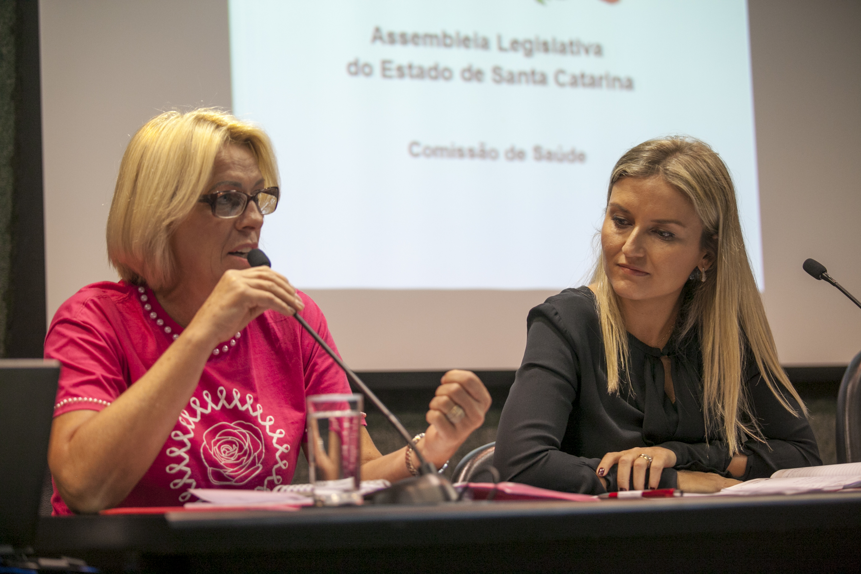 Audiência Pública sobre a Situação dos mamógrafos e a qualidade dos exames de mamografia no Estado de Santa Catarina.