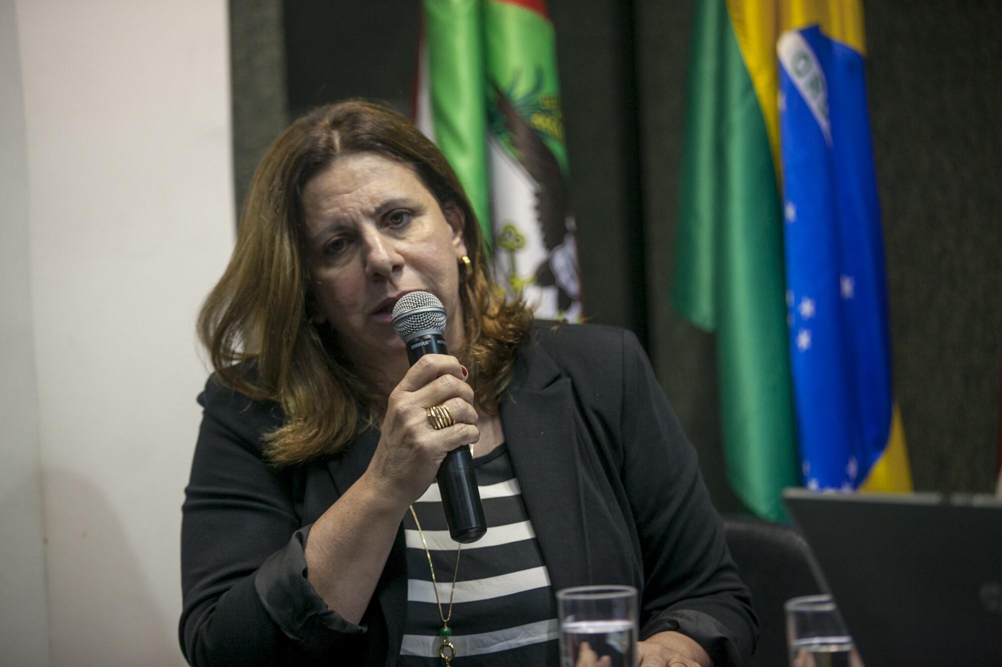 Raquel Bittencourt, diretora da Vigilância Sanitária em Santa Catarina