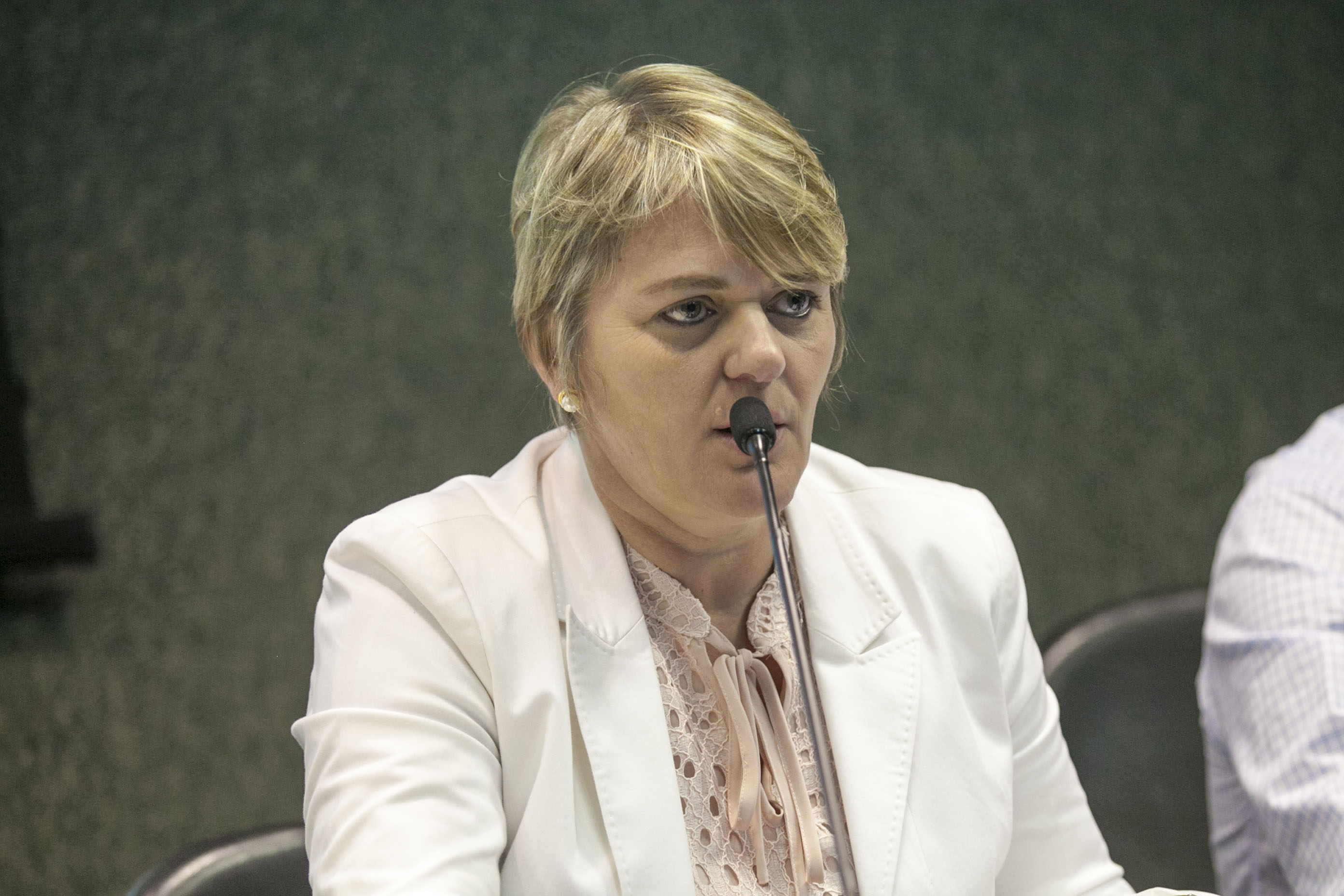 Audiência Pública sobre a Situação dos mamógrafos e a qualidade dos exames de mamografia no Estado de Santa Catarina. Deputada Luciane Carminatti (PT)
