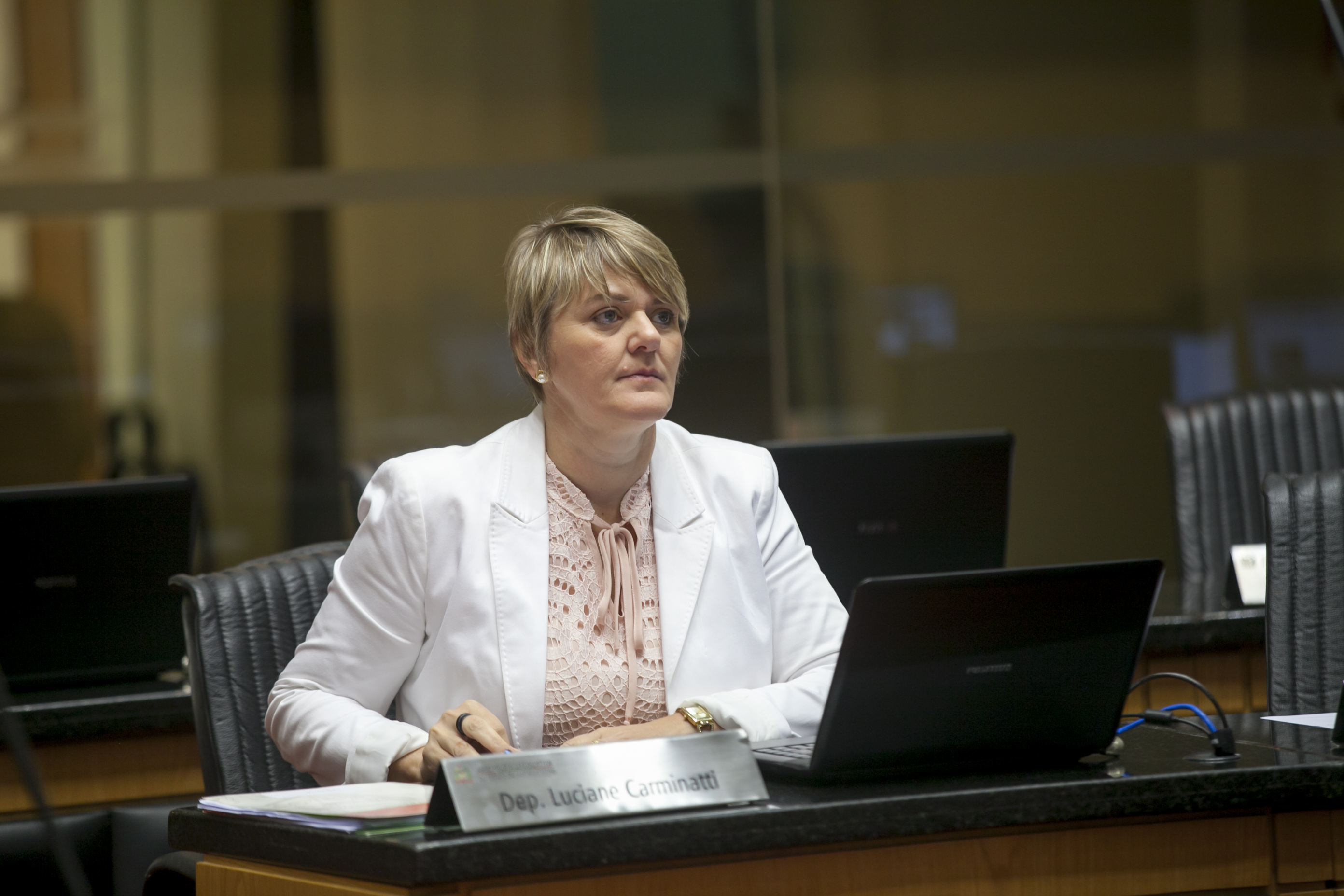 Sessão Ordinária. Deputada Luciane Carminatti (PT).