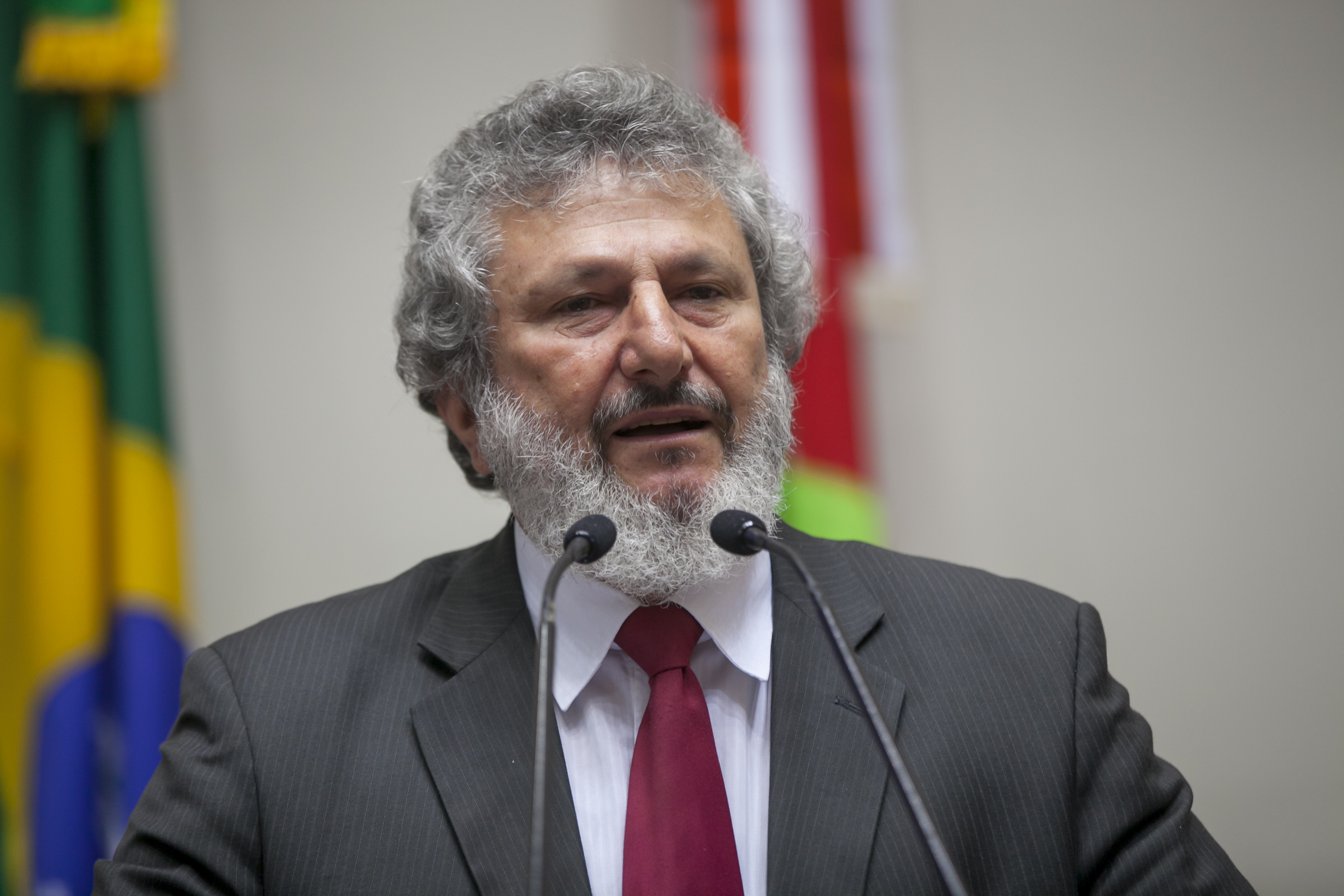 Sessão Ordinária. Deputado Padre Pedro Baldissera (PT).