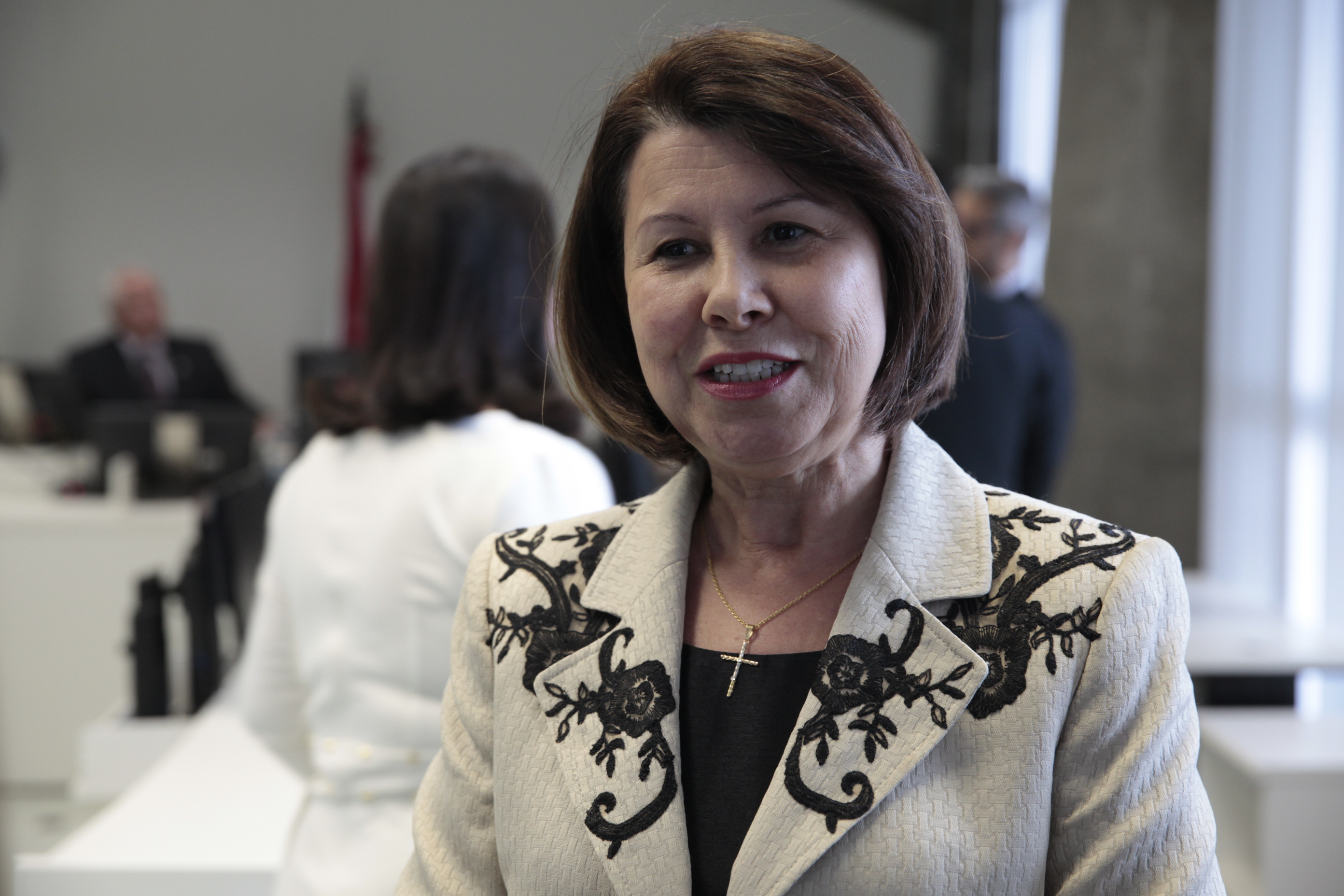 Semana Nacional de Conciliação em Santa Catarina. Janice Ubialli.