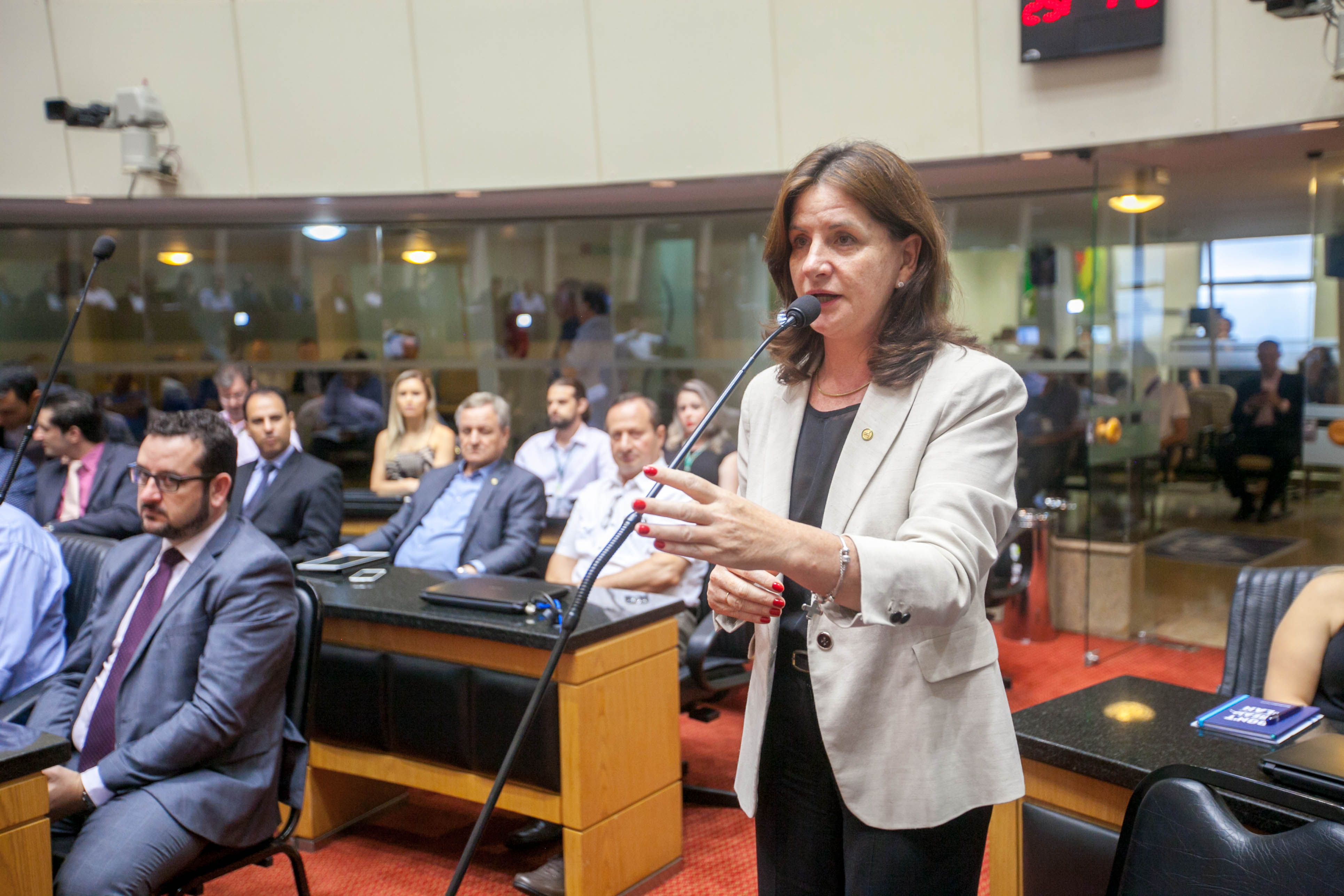 Deputada Federal Carmem Zanotto (PPS)
