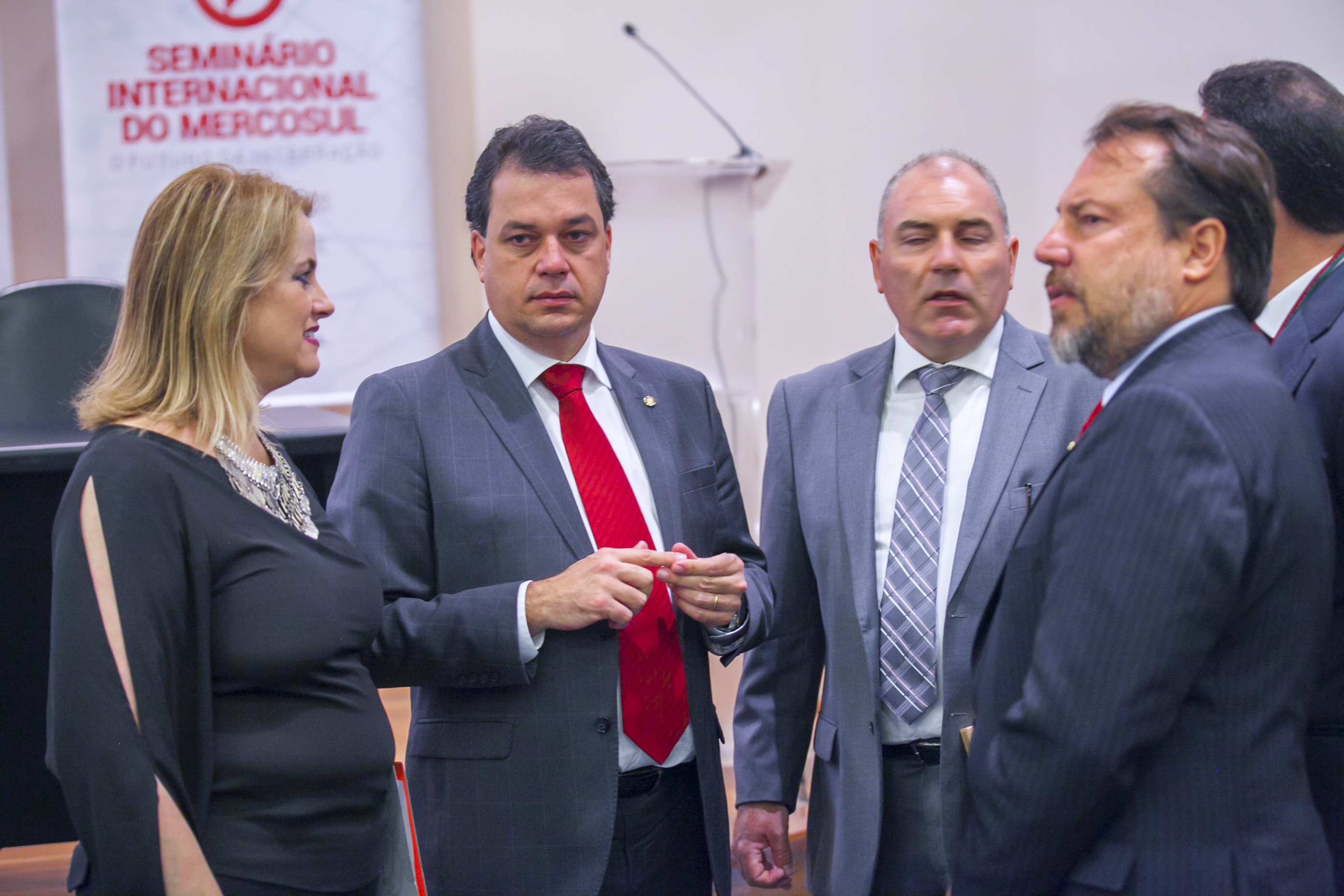 Seminário Internacional do Mercosul