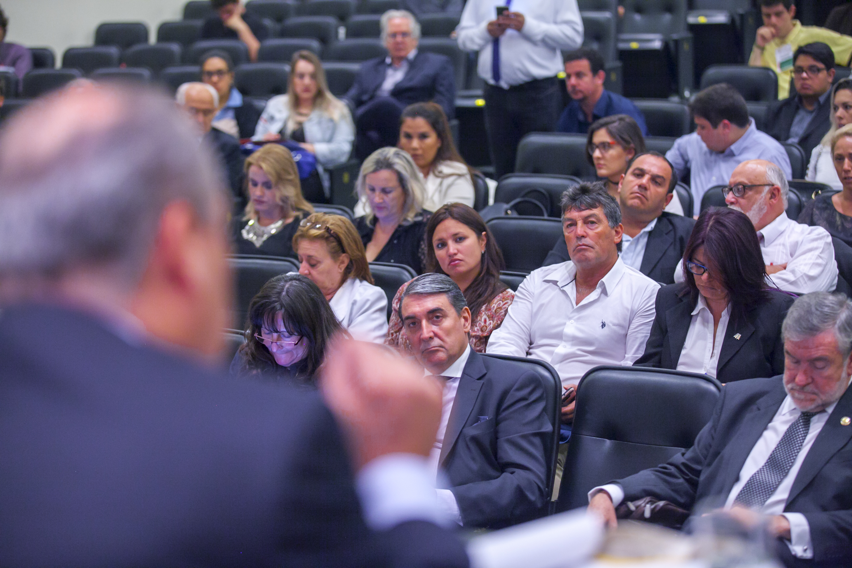 Seminário Internacional do Mercosul