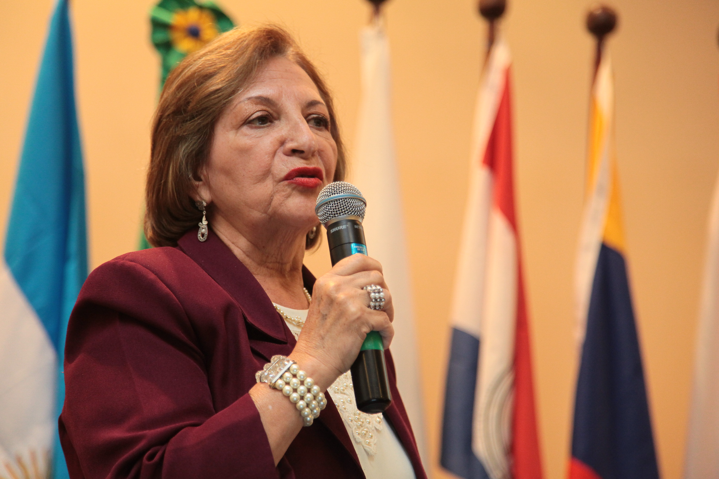 Seminário Internacional do Mercosul: o futuro da Integração.