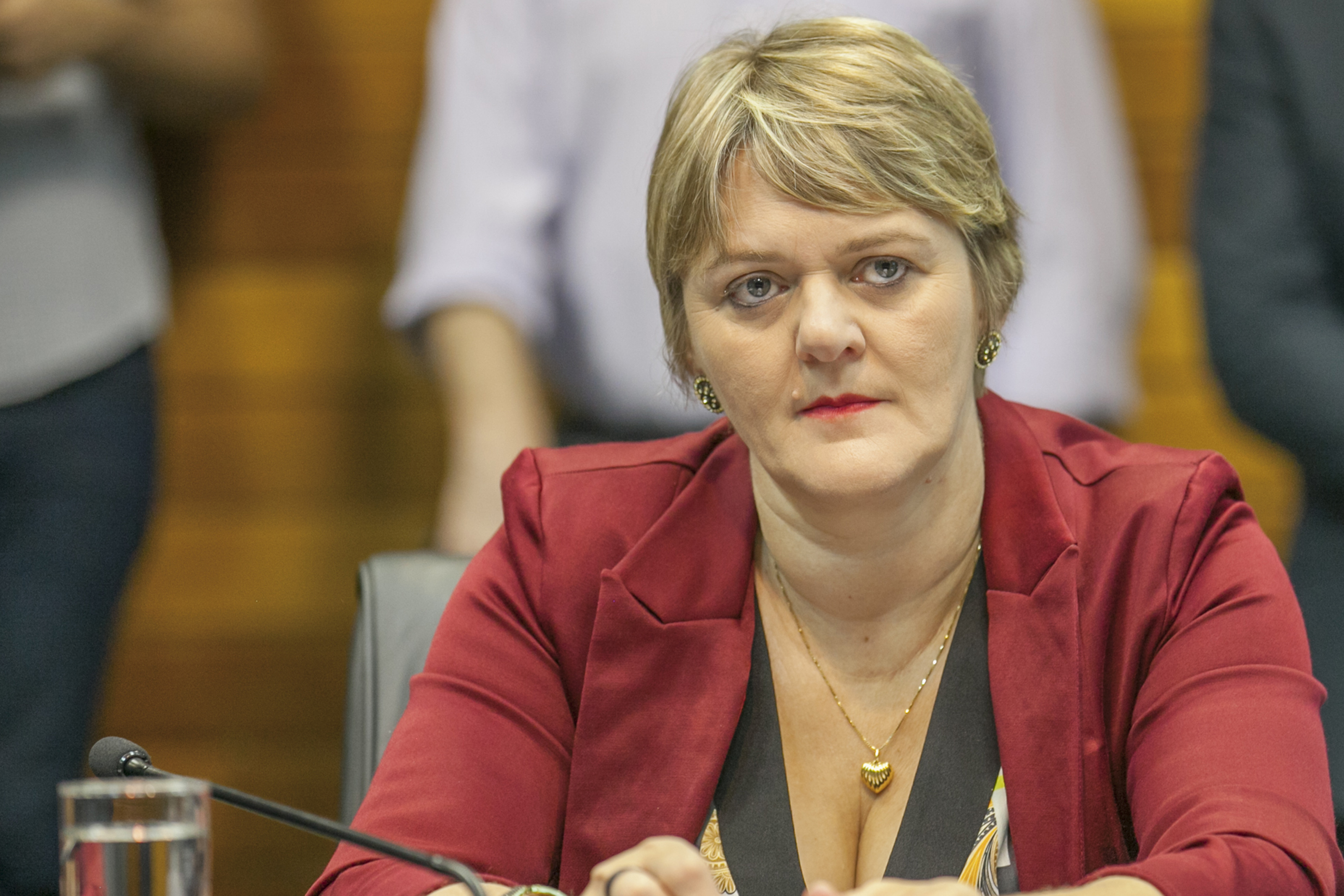 Deputada Luciane Carminatti (PT)