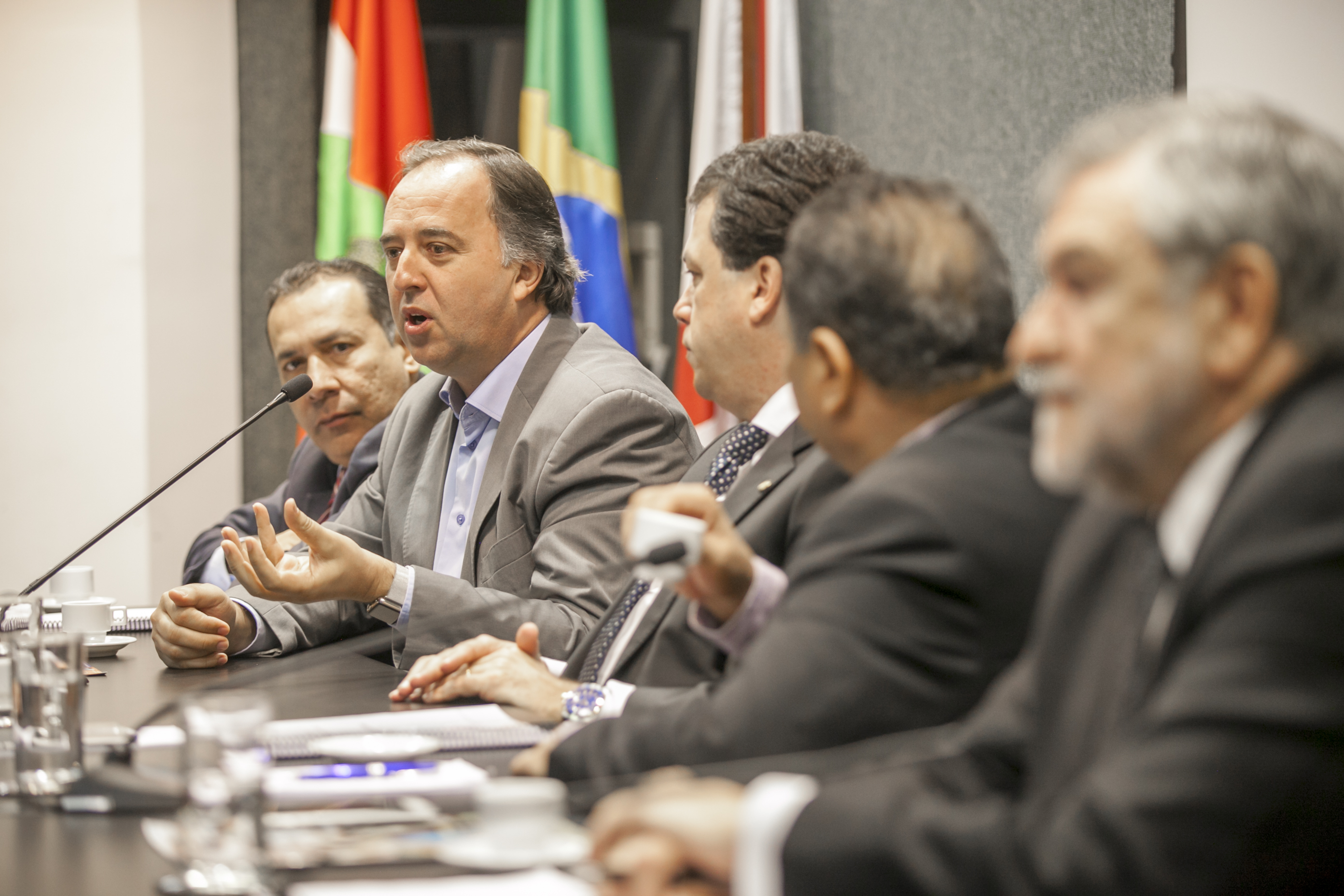 Seminário Internacional do Mercosul