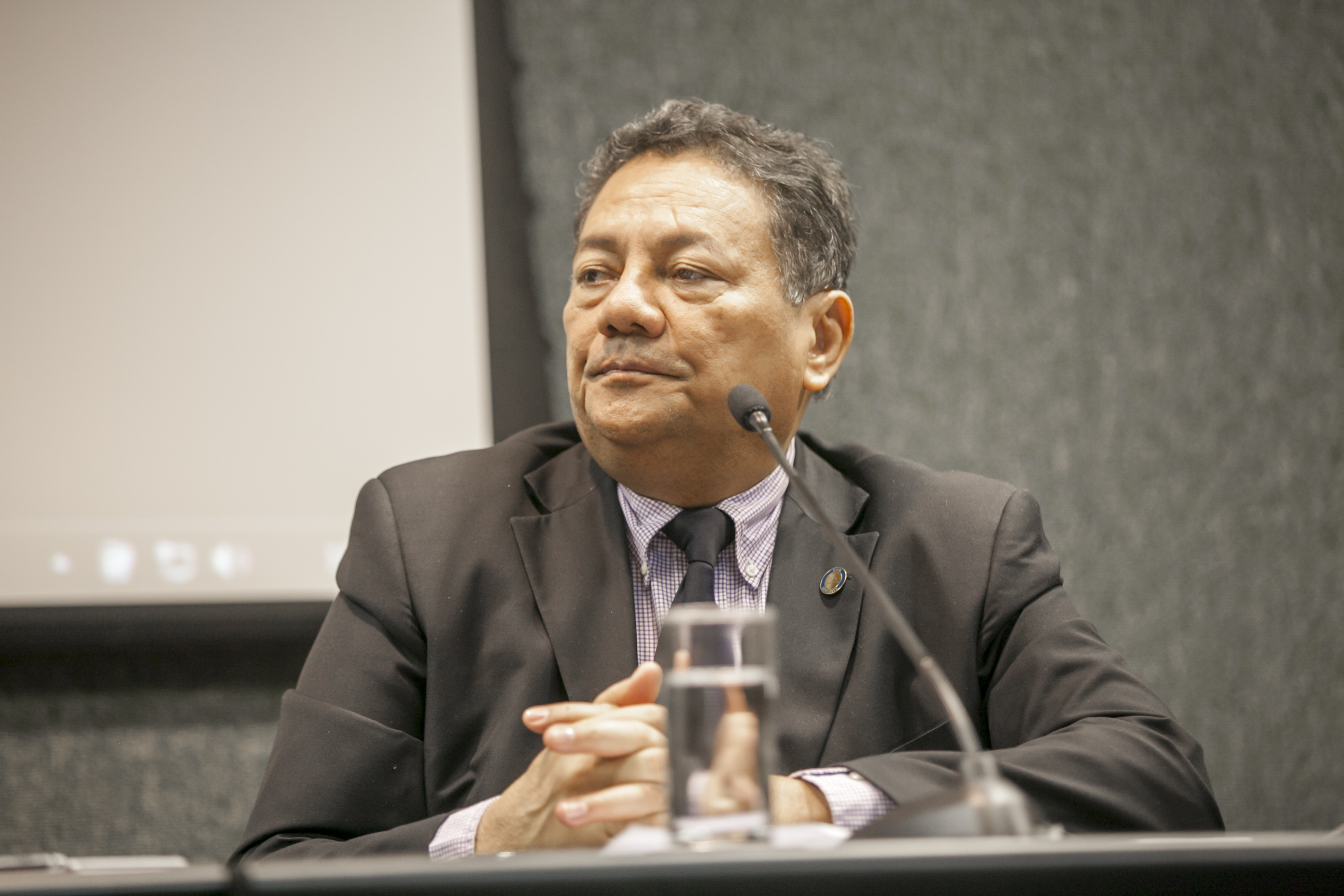 Seminário Internacional do Mercosul