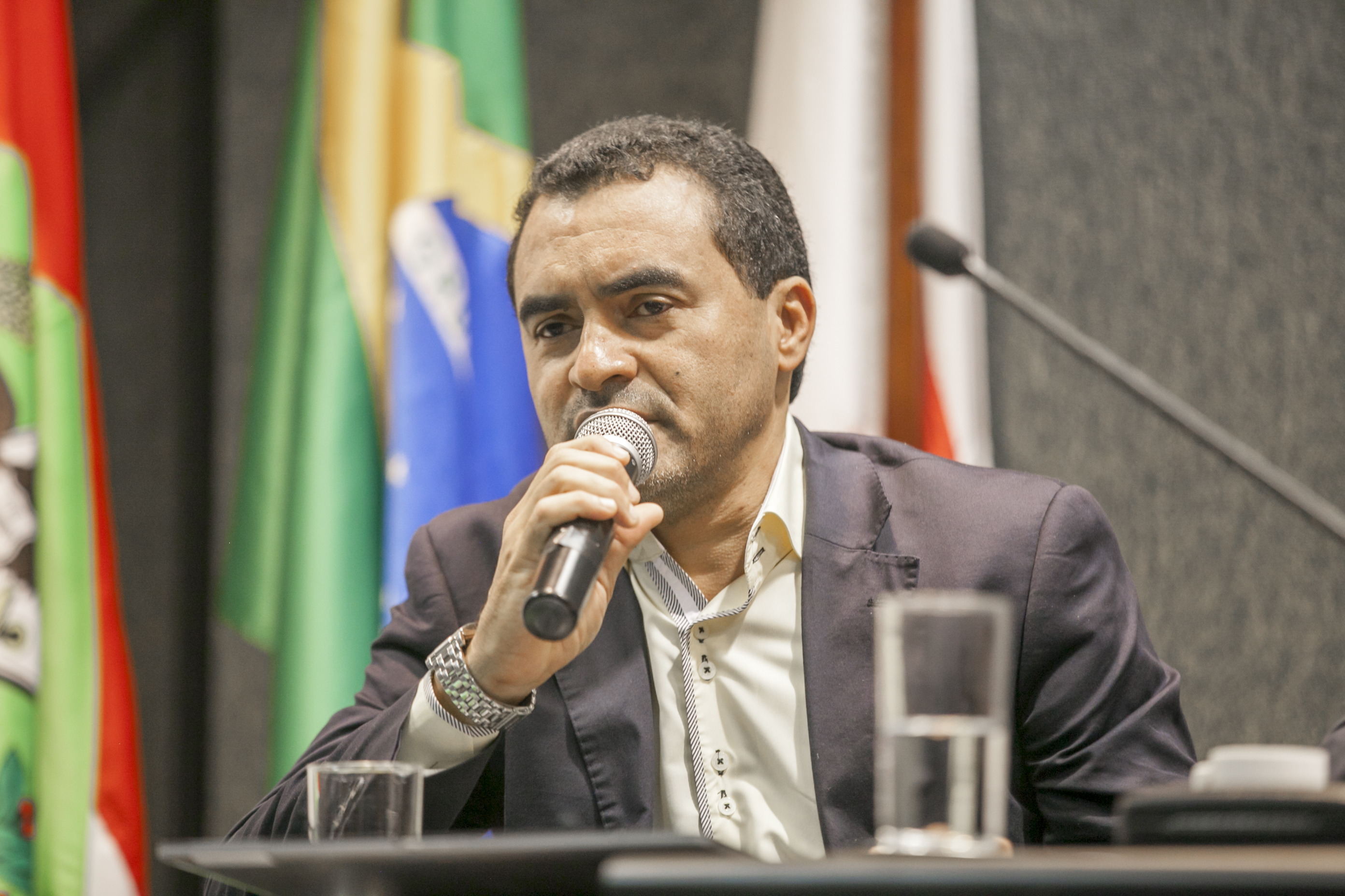 Seminário Internacional do Mercosul