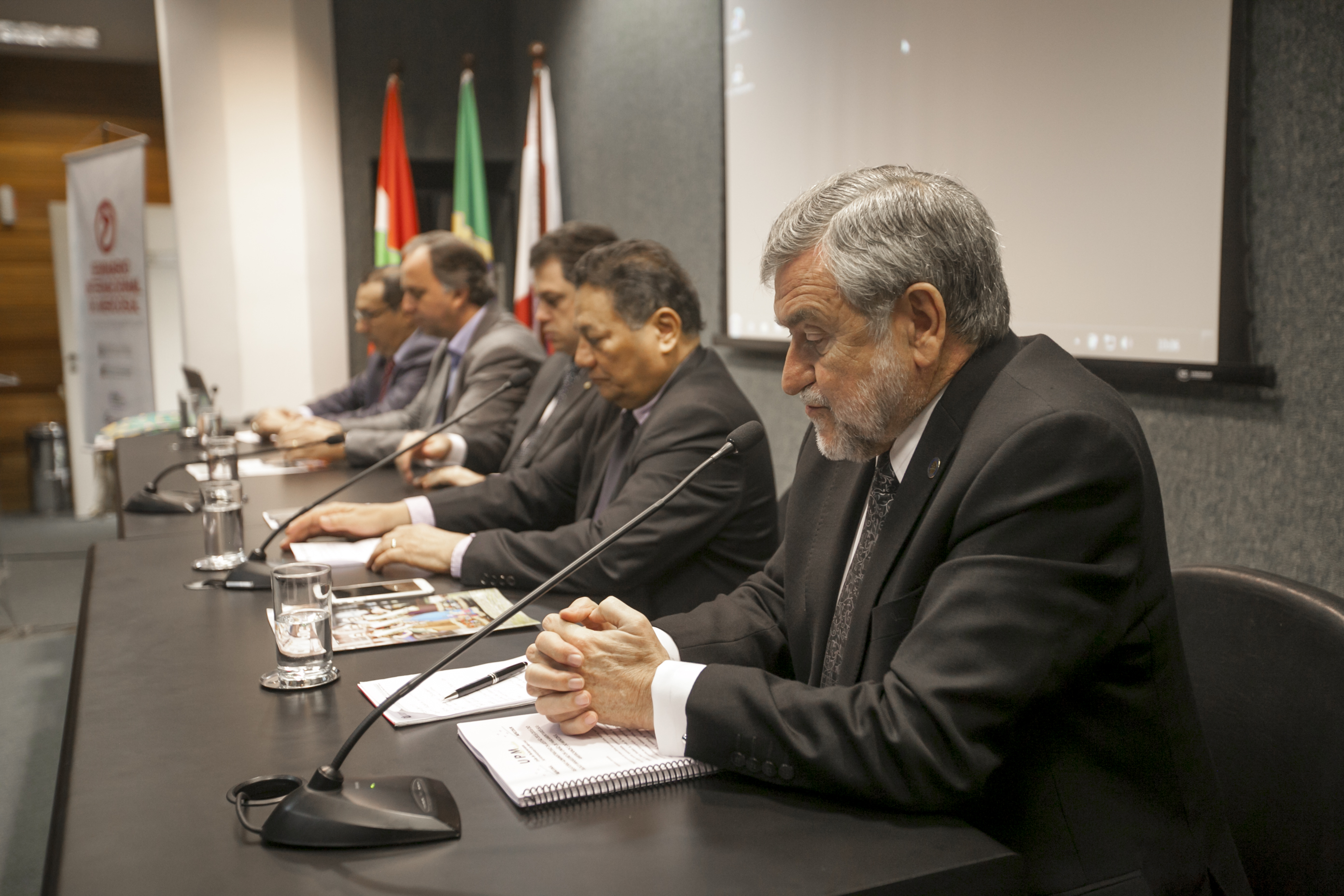 Seminário Internacional do Mercosul