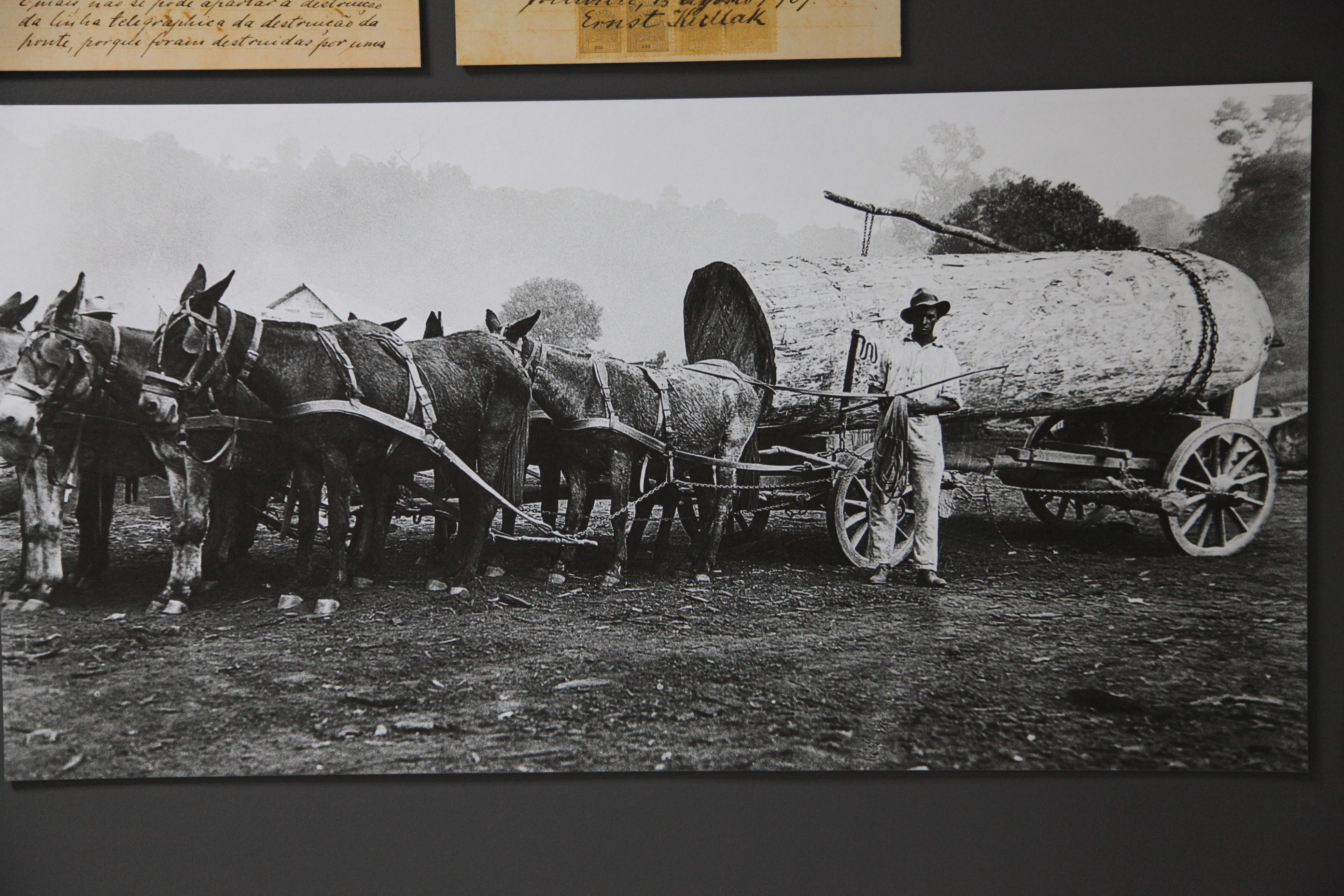 Exposição 100 Anos do Contestado