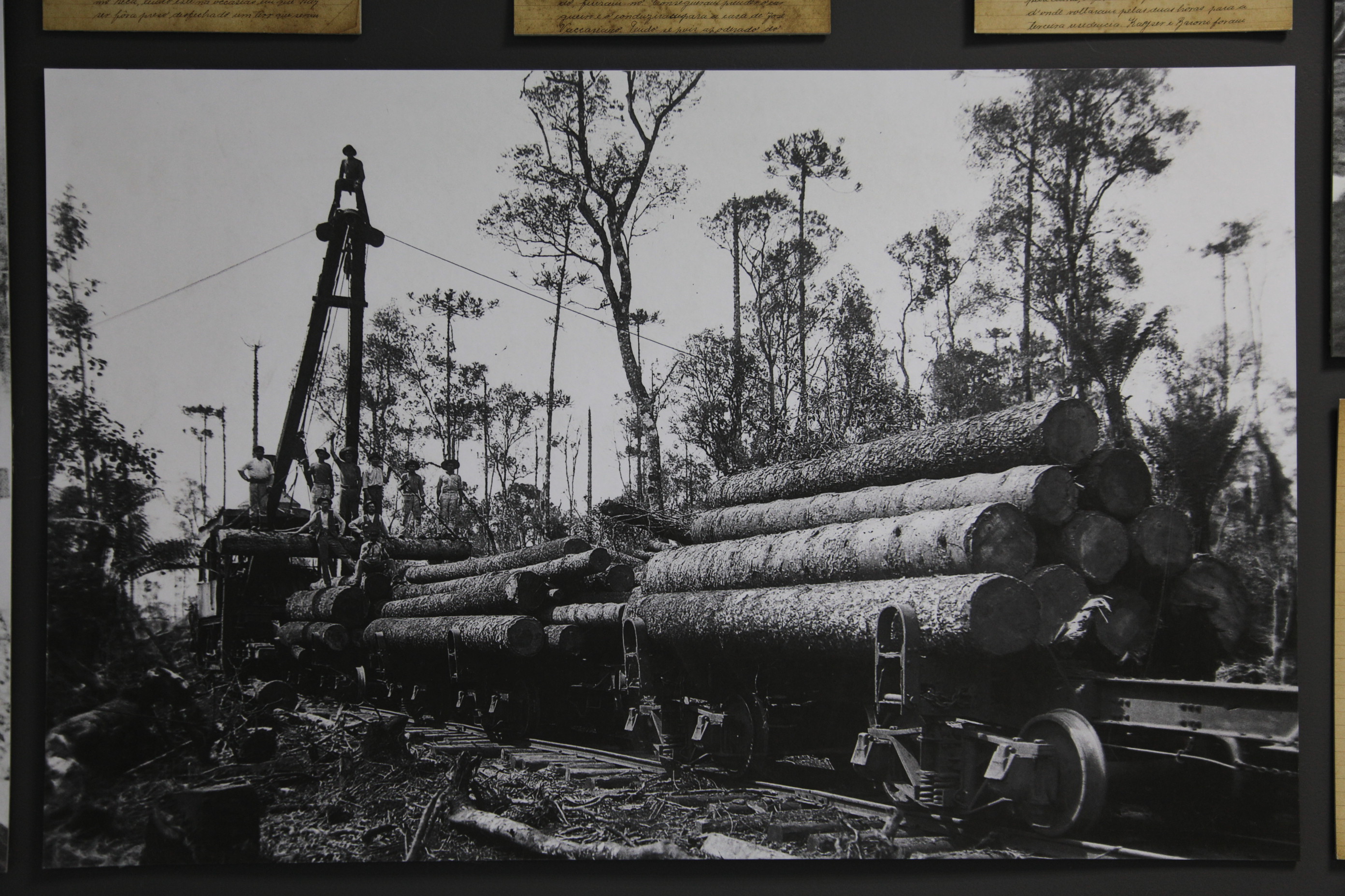 Exposição 100 Anos do Contestado