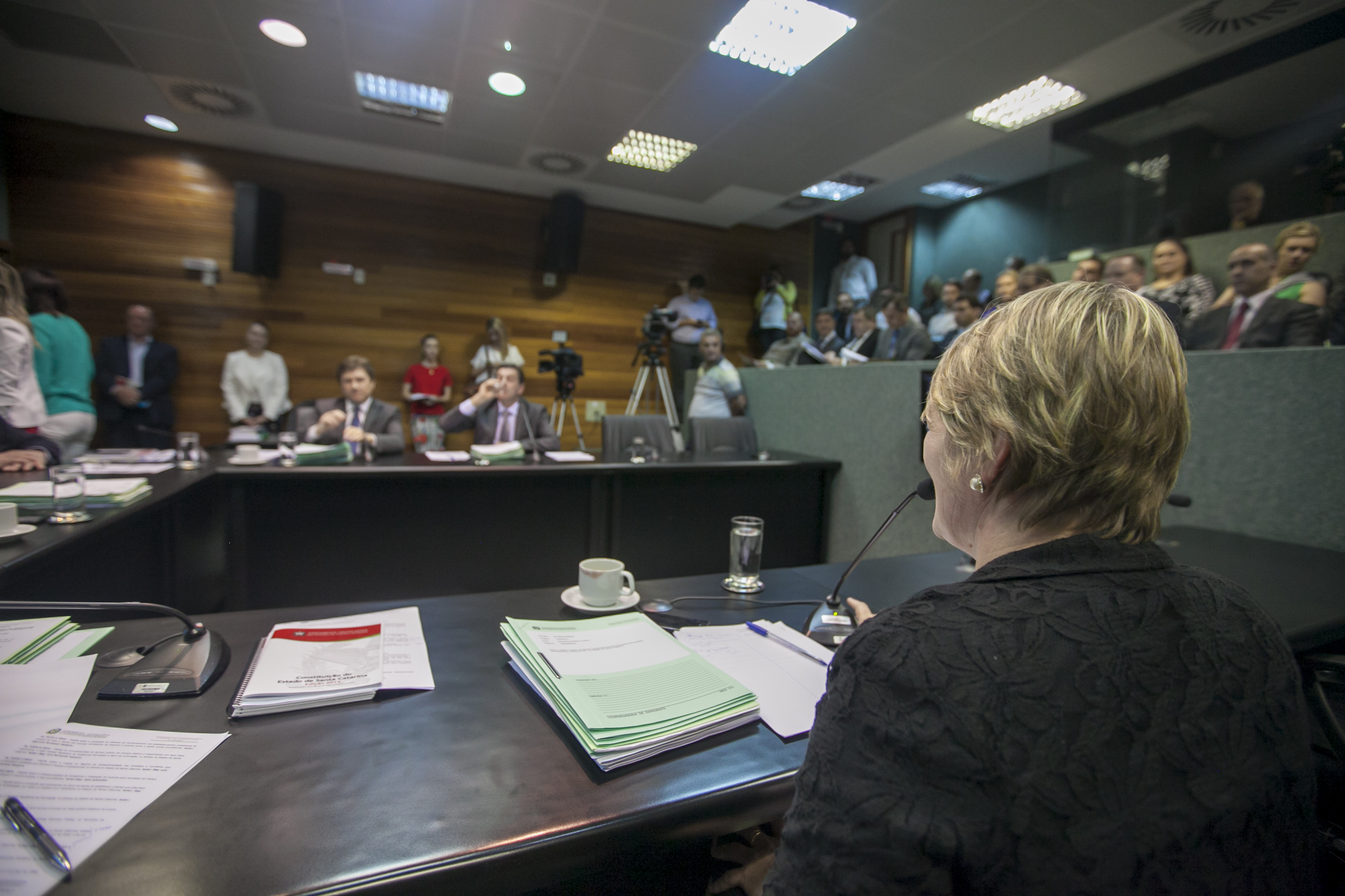 Comissão de Constituição e Justiça