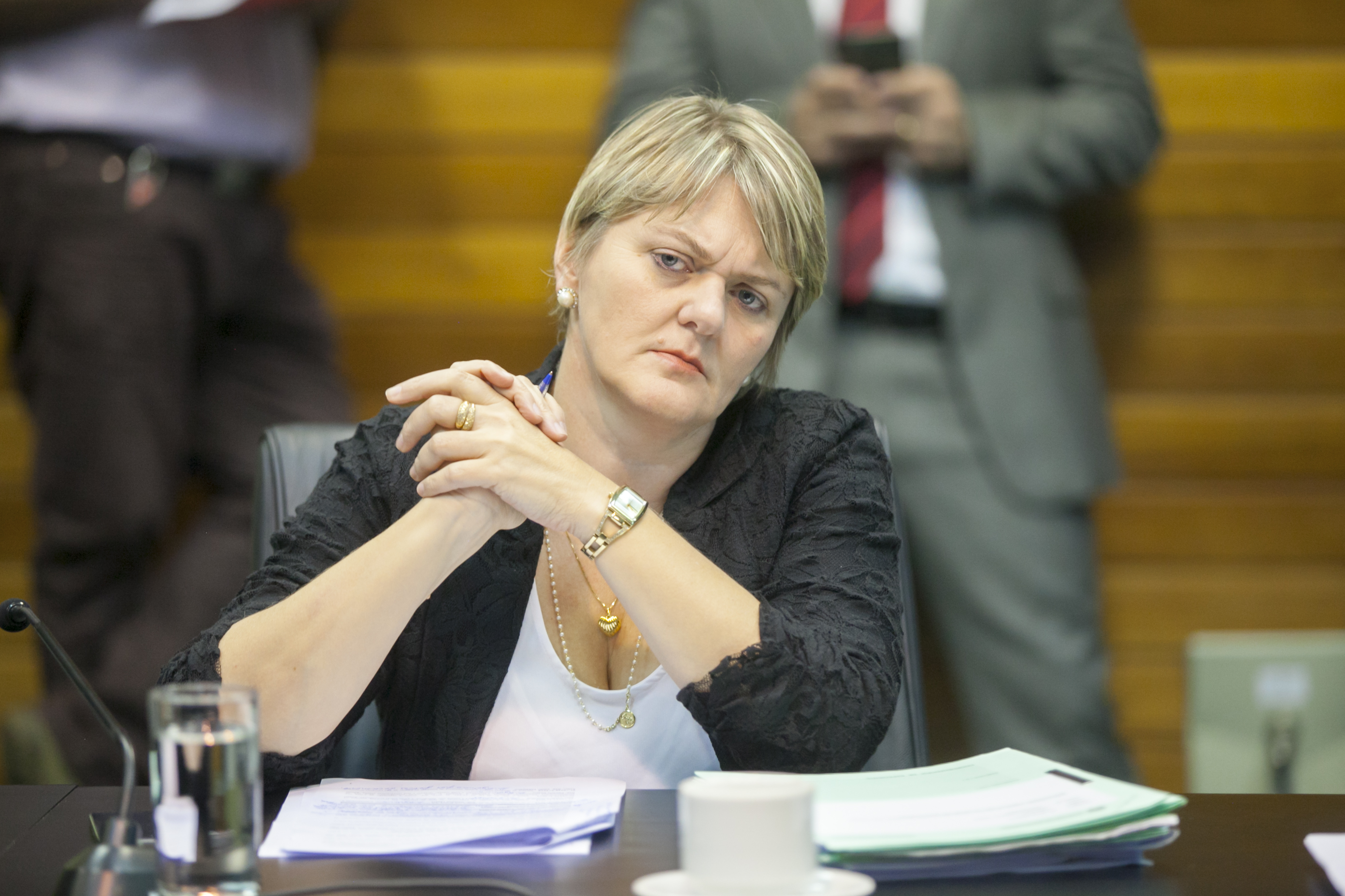 Deputada Luciane Carminatti (PT) - Comissão de Constituição e Justiça