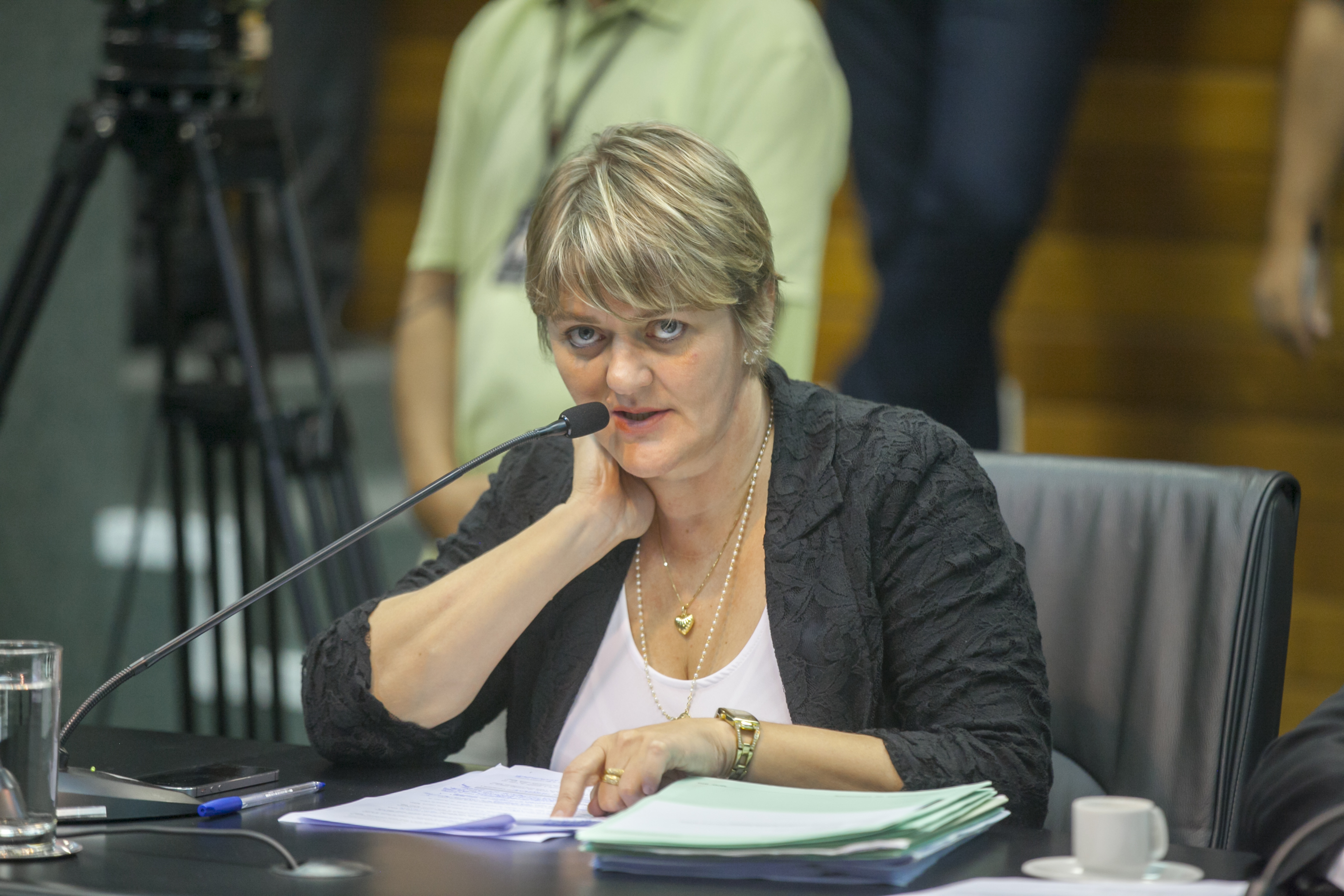 Deputada Luciane Carminatti (PT) - Comissão de Constituição e Justiça