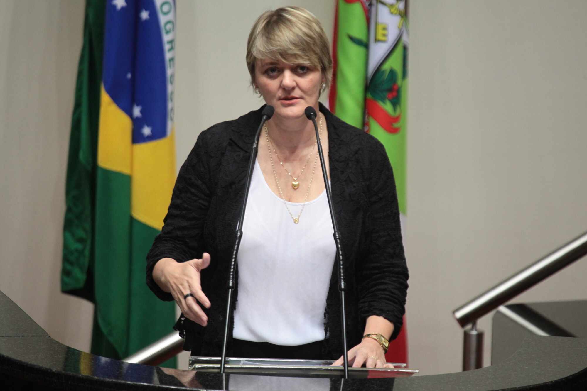 Deputada Luciane Carminatti