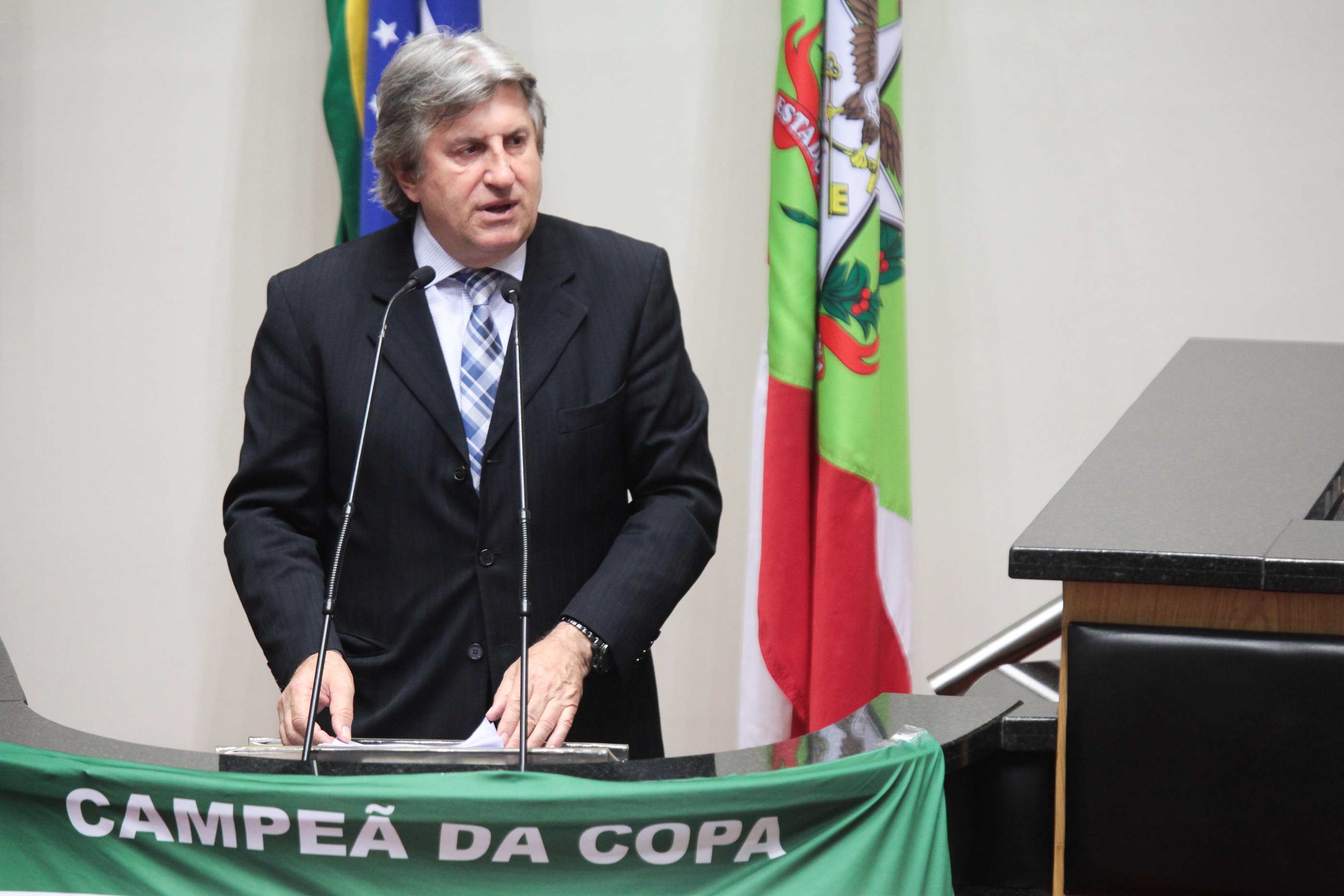 Sessão Ordinária. Deputado Leonel Pavan (PSDB). Foto: Daniella Coriolano
