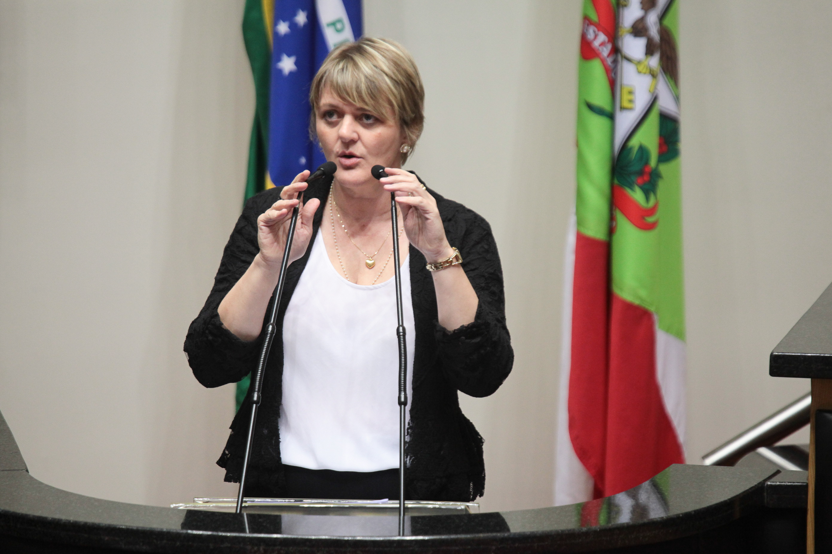 Sessão Ordinária. Deputada Luciane Carminatti (PT). Foto: Daniella Coriolano