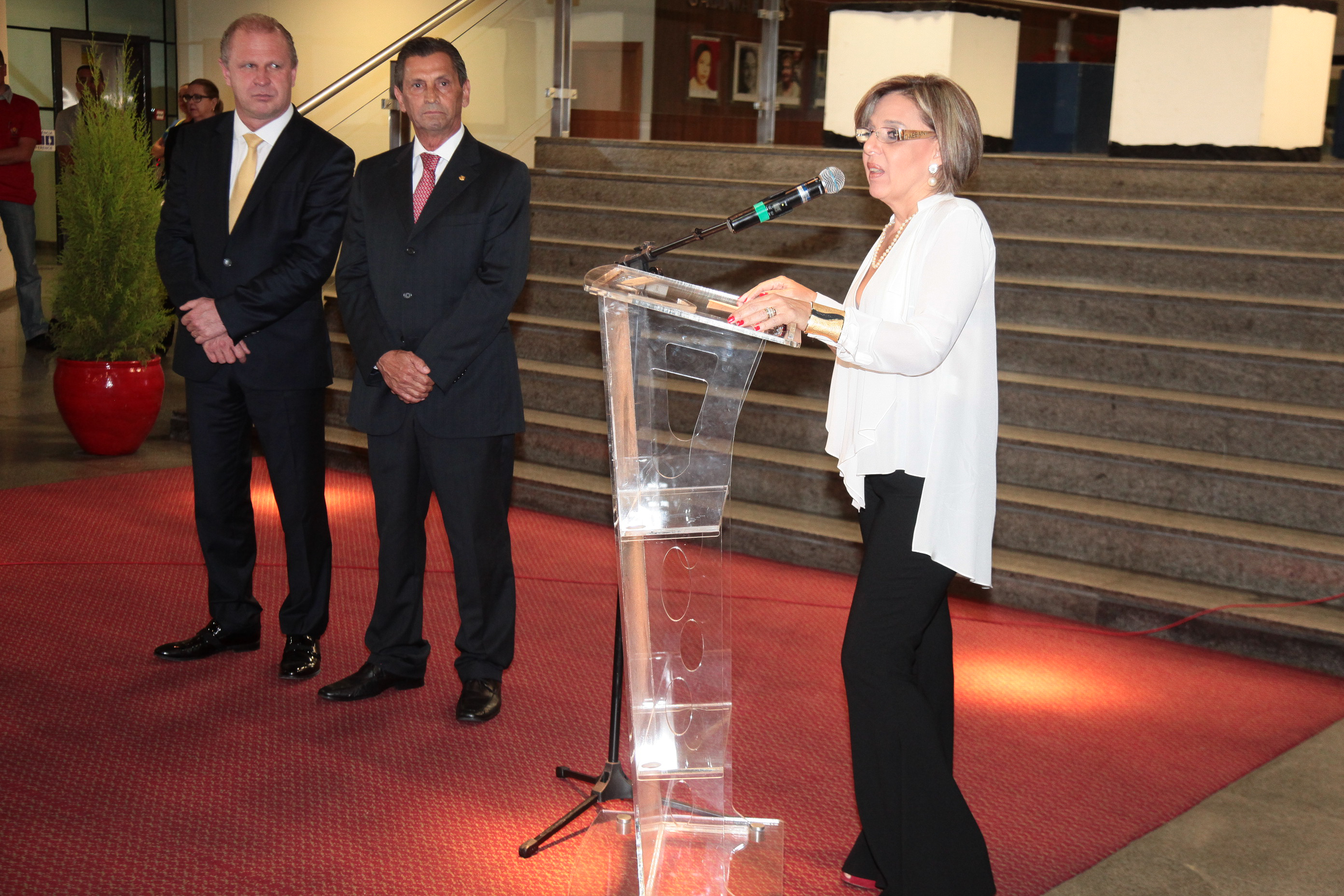 Lançamento do Livro Lei Julio Garcia - 10 anos. A Nova Realidade das Apaes de Santa Catarina.