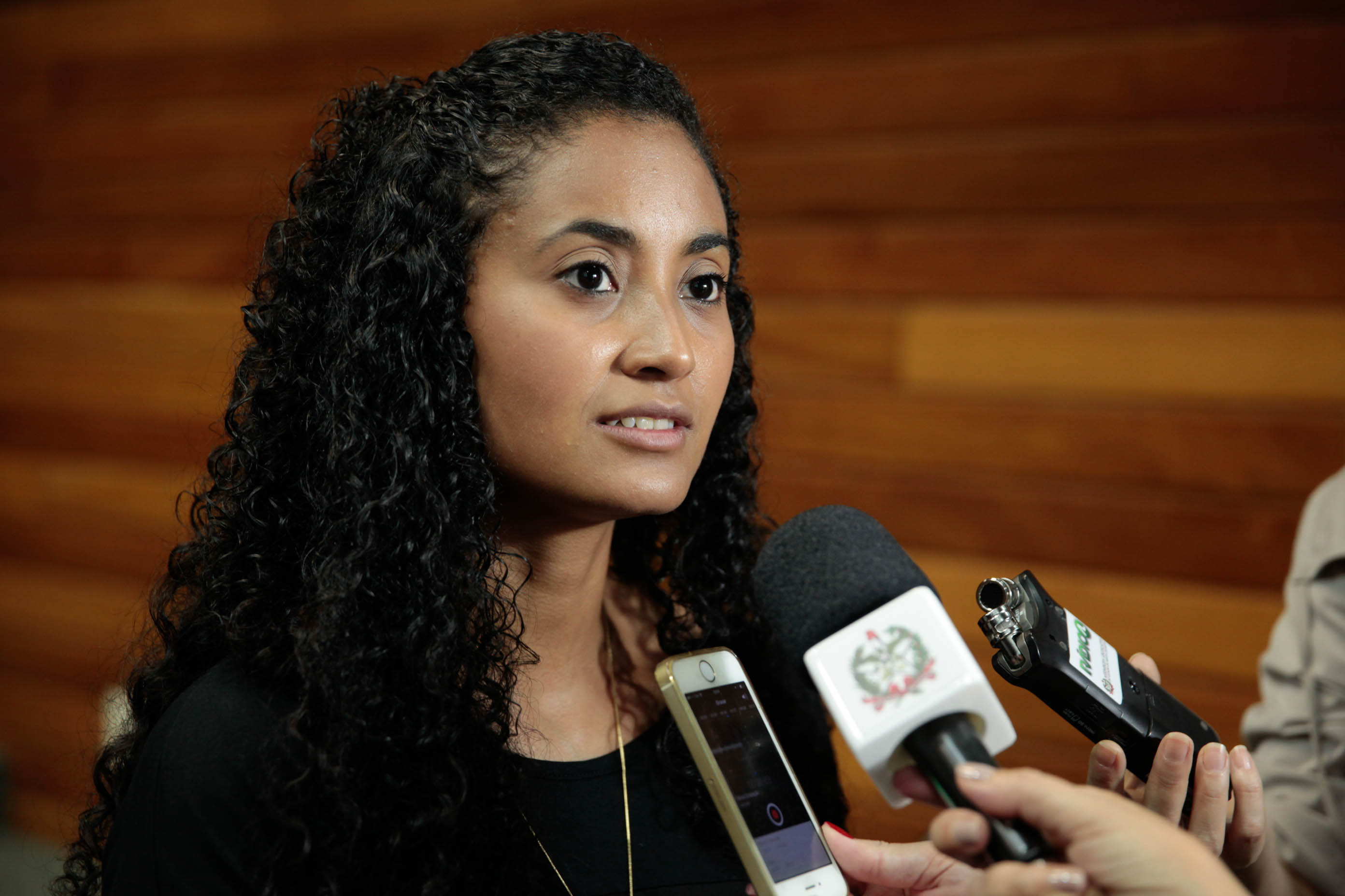 Reunião do Grupo de Trabalho dos Imigrantes organizado pela Comissão dos Direitos Humanos. Tamajara da Silva.