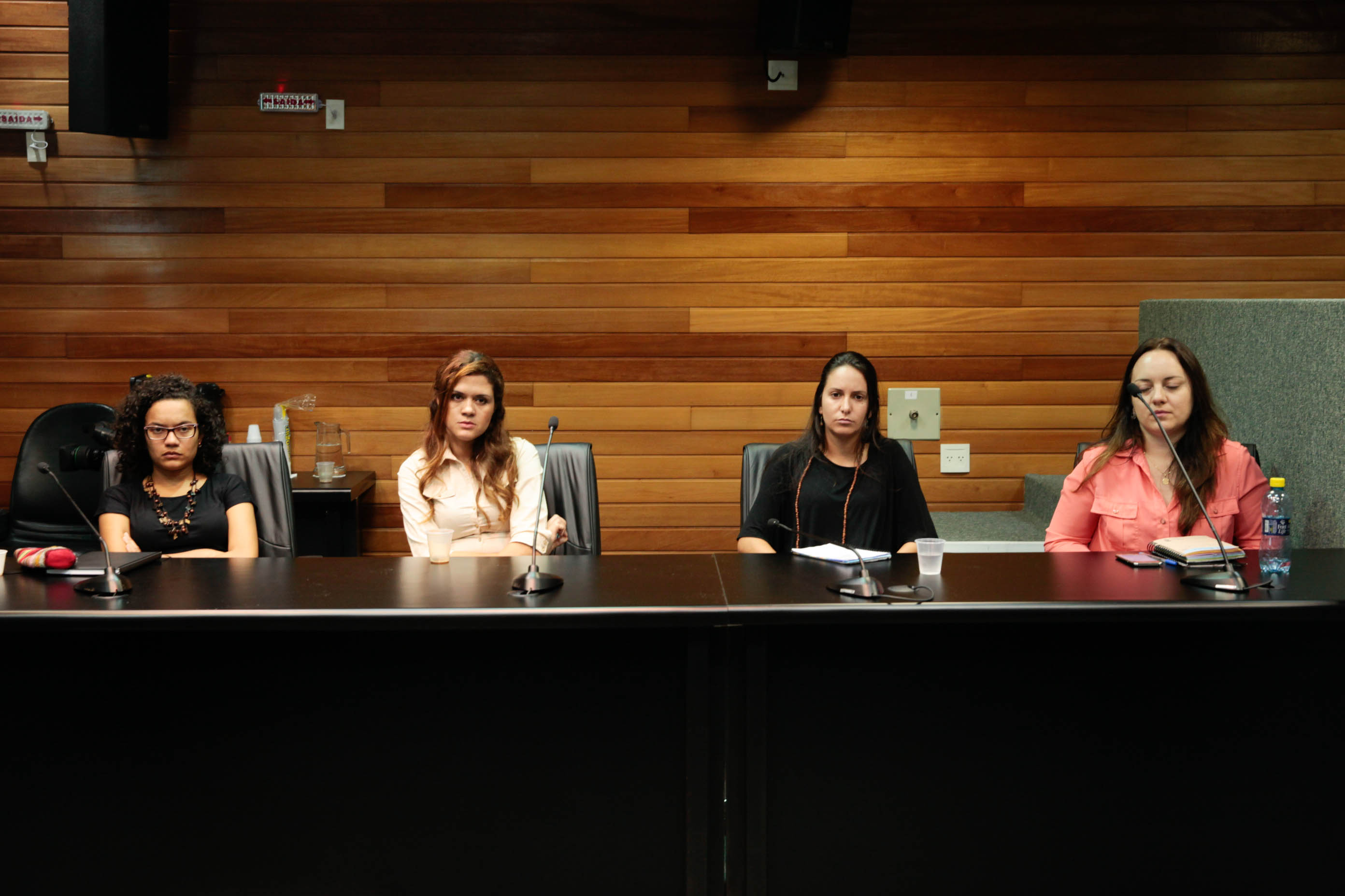 Reunião do Grupo de Trabalho dos Imigrantes organizado pela Comissão dos Direitos Humanos.