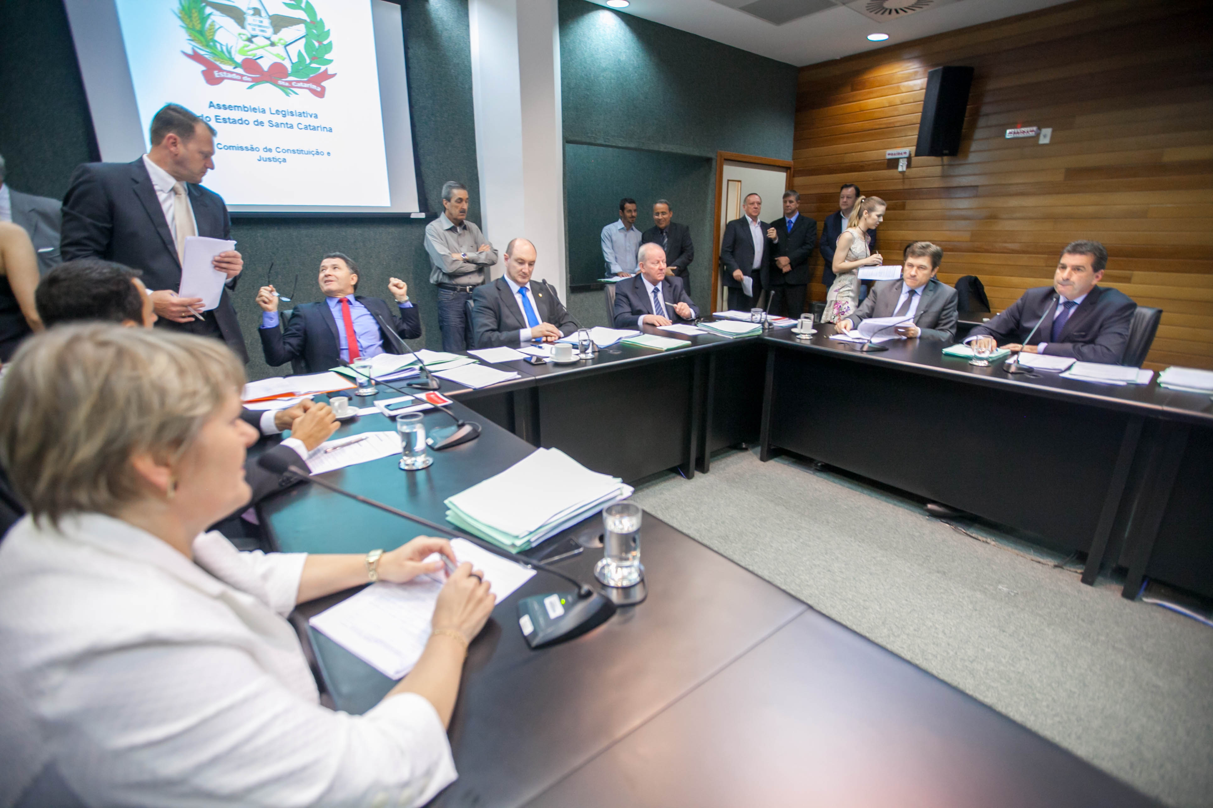 Comissão de Constituição e Justiça