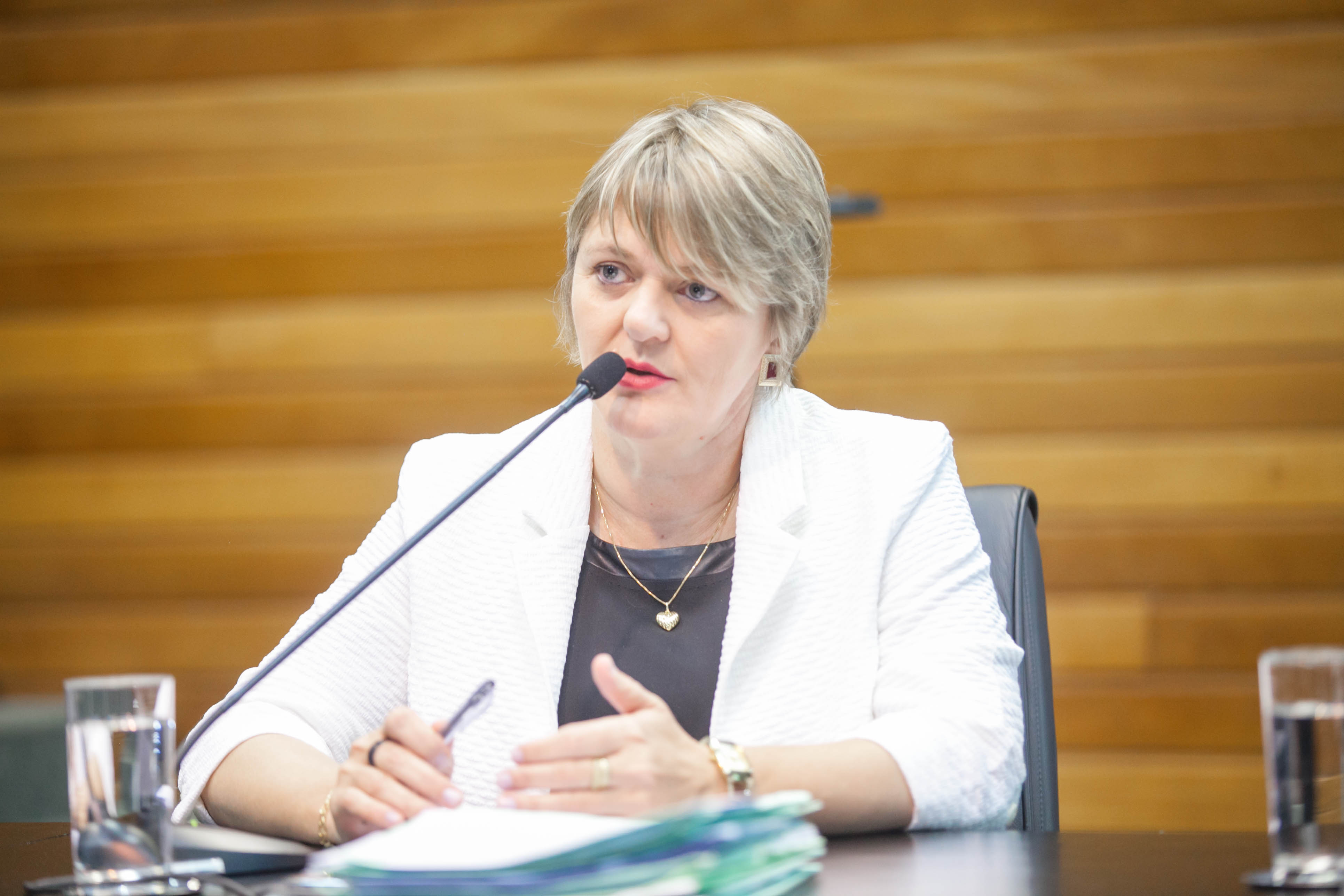 Deputada Luciane Carminatti (PT) - Comissão de Constituição e Justiça