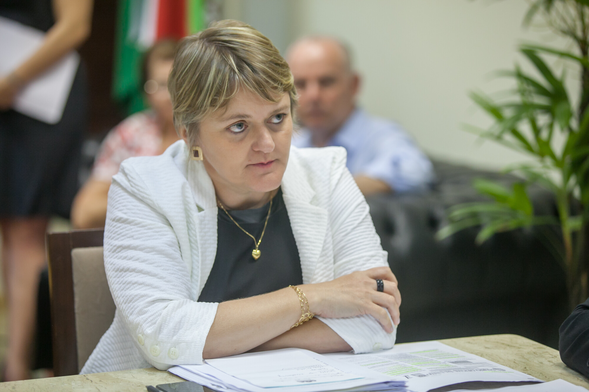 Deputada Luciane Carminatti