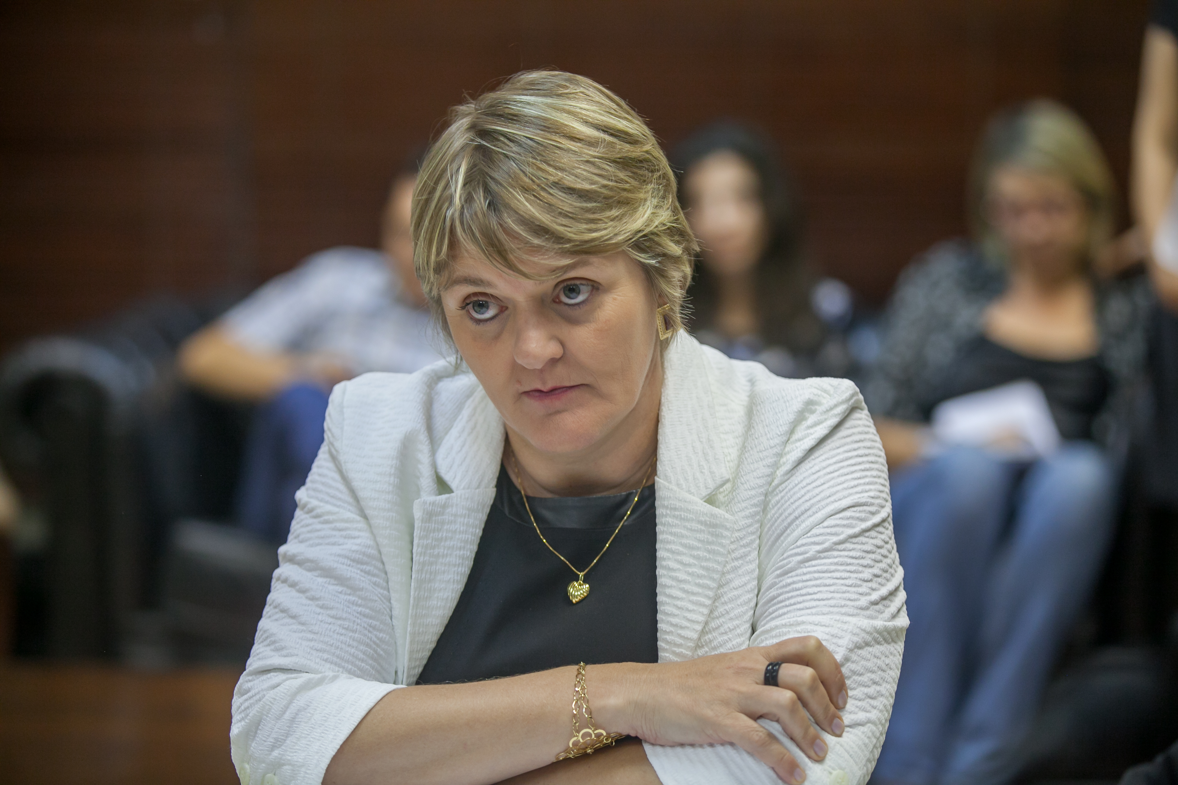 Deputada Luciane Carminatti (PT) - Comissão de Educação, Cultura e Desporto