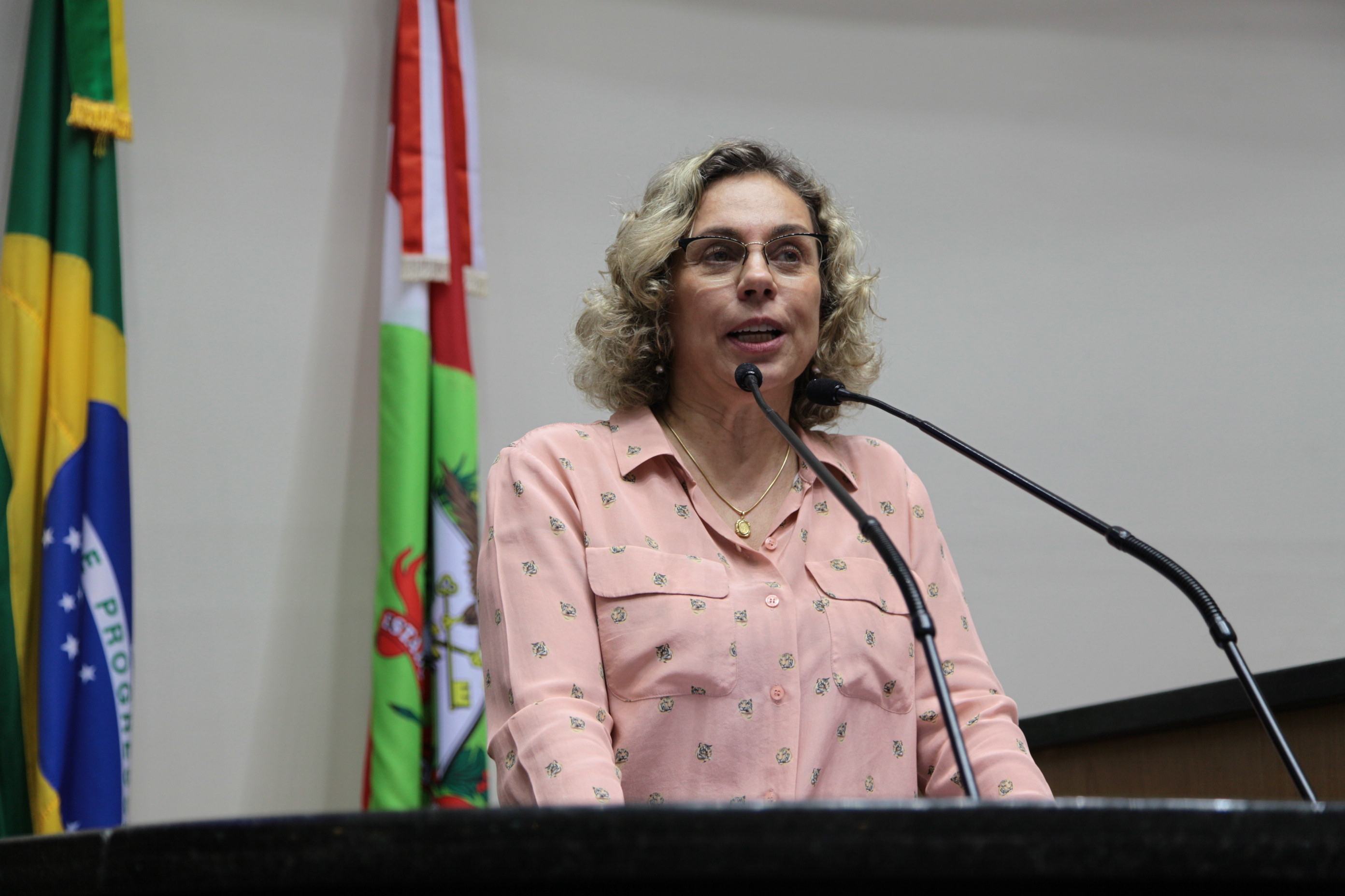 Sessão Ordinária. Deputada Ana Paula Lima (PT)