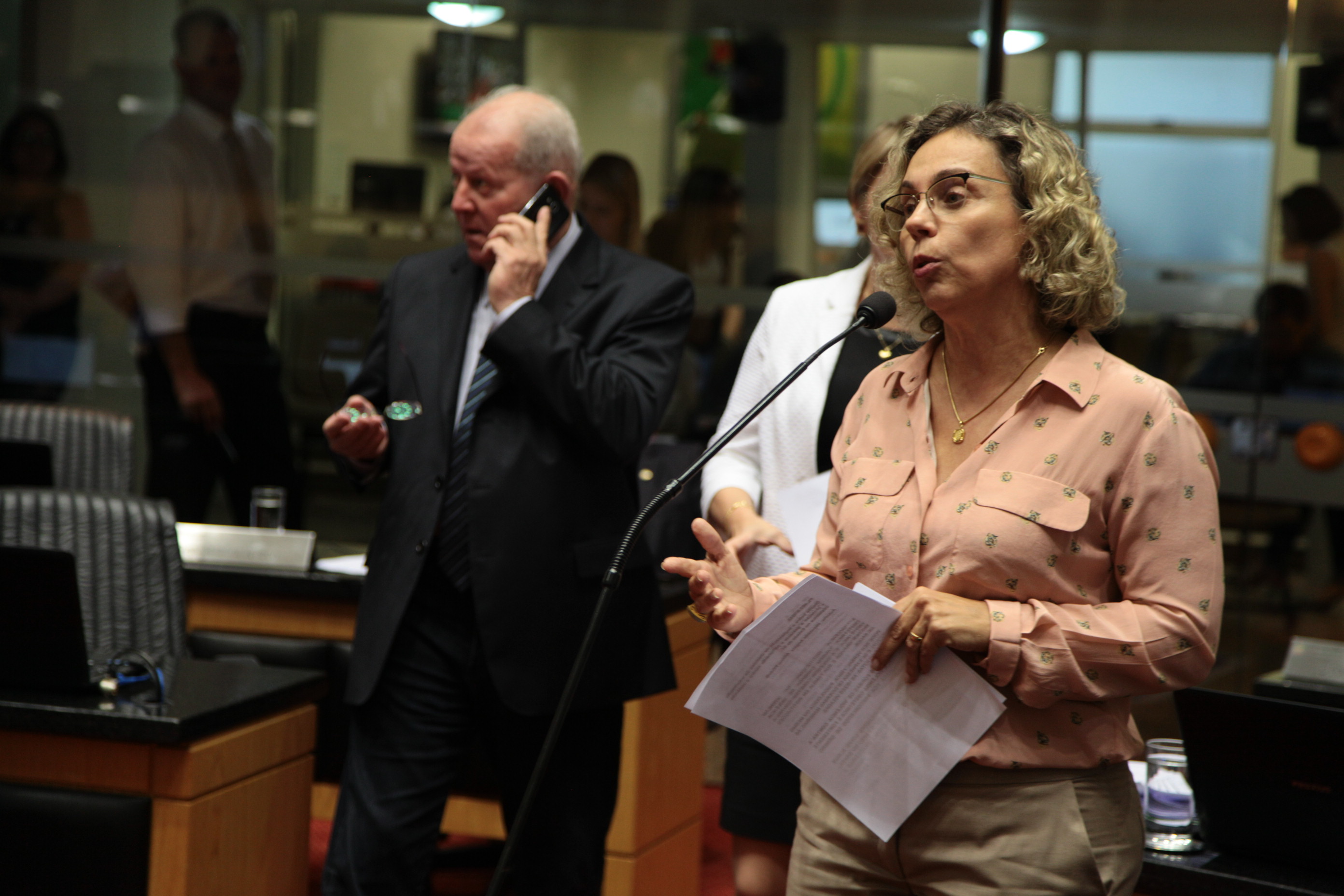 Sessão Ordinária.