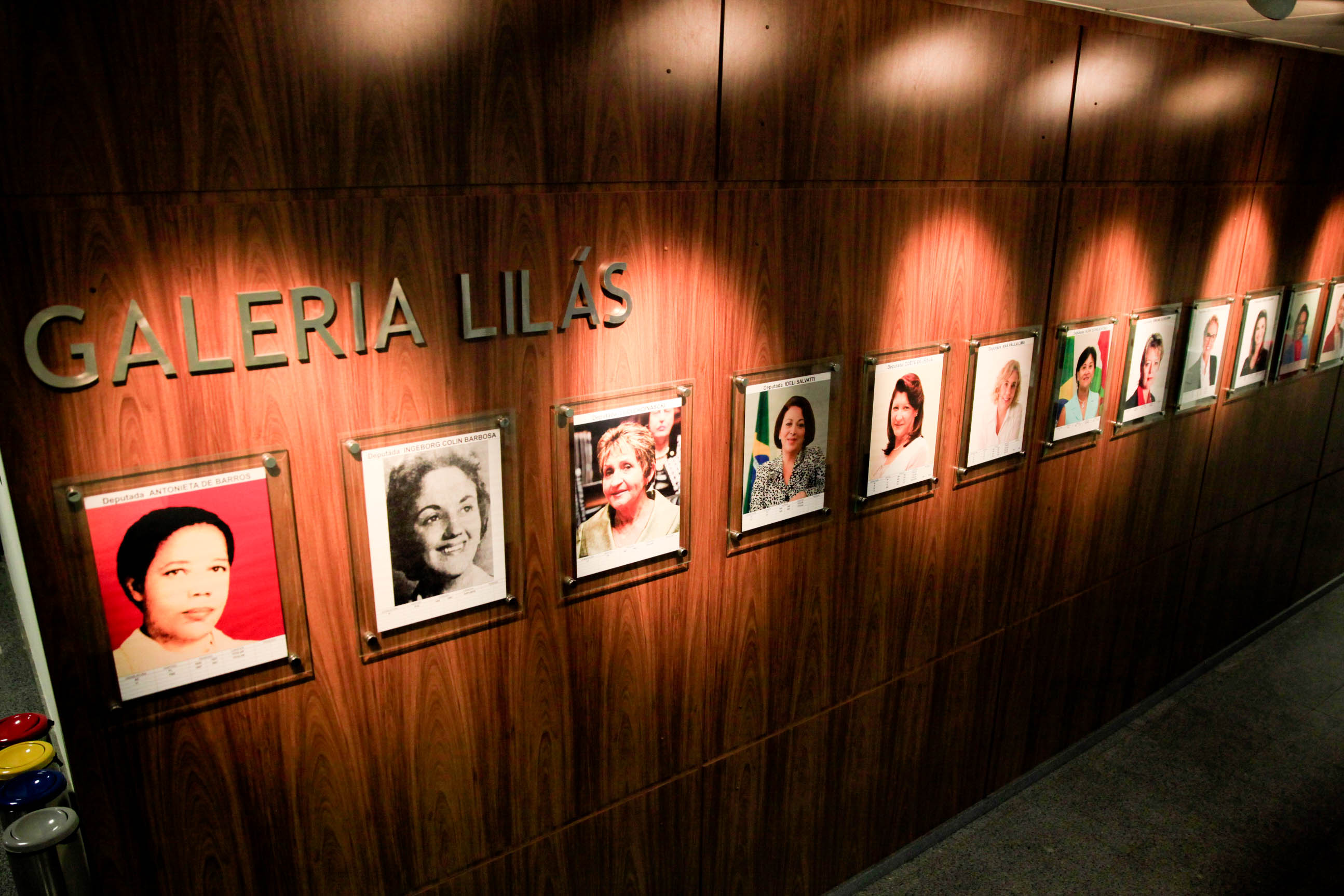 Mulheres no Parlamento