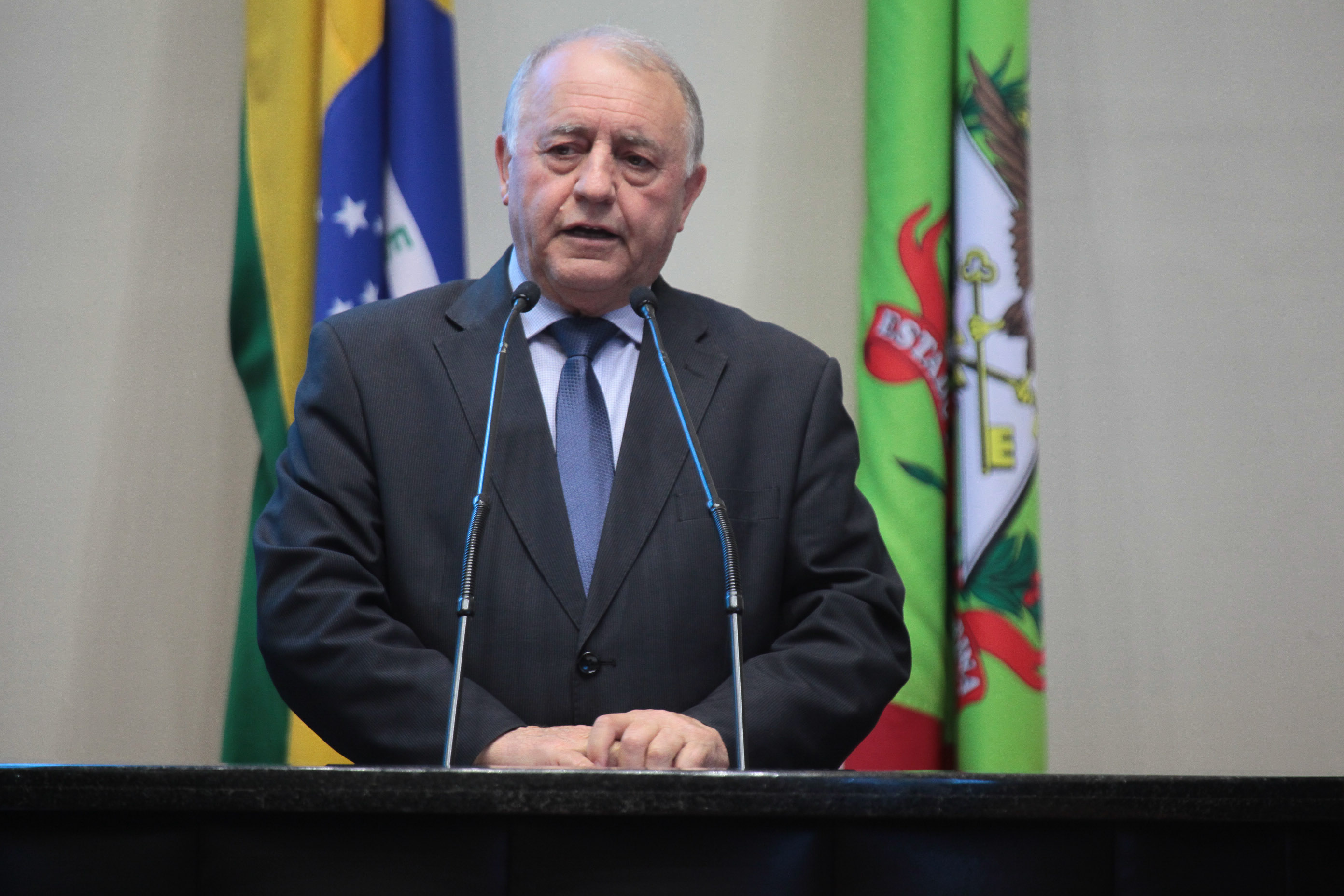 Sessão ordinária. Deputado Natalino Lazare (PR).