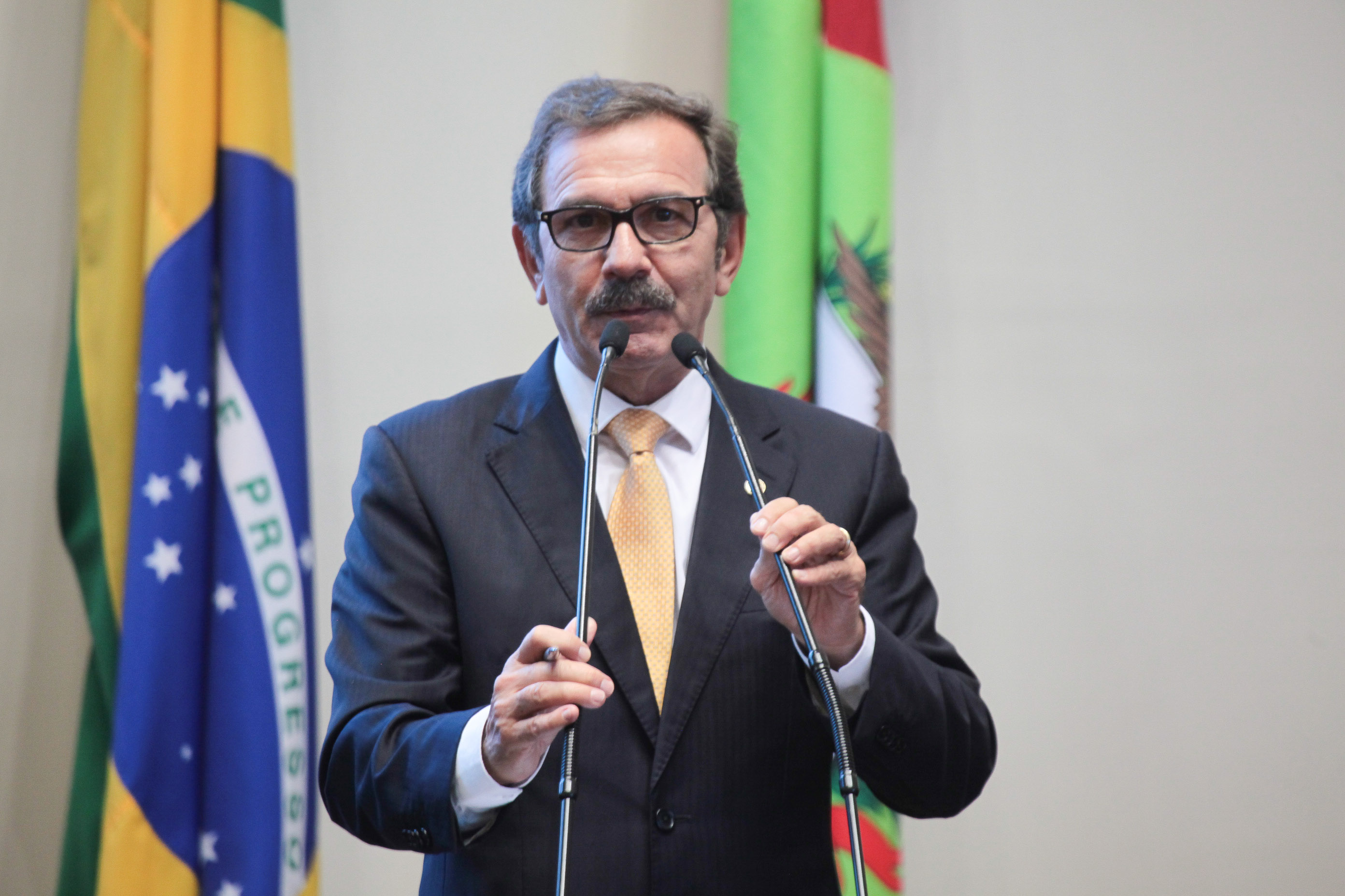 Sessão ordinária. Deputado Serafim Venzon (PSDB)