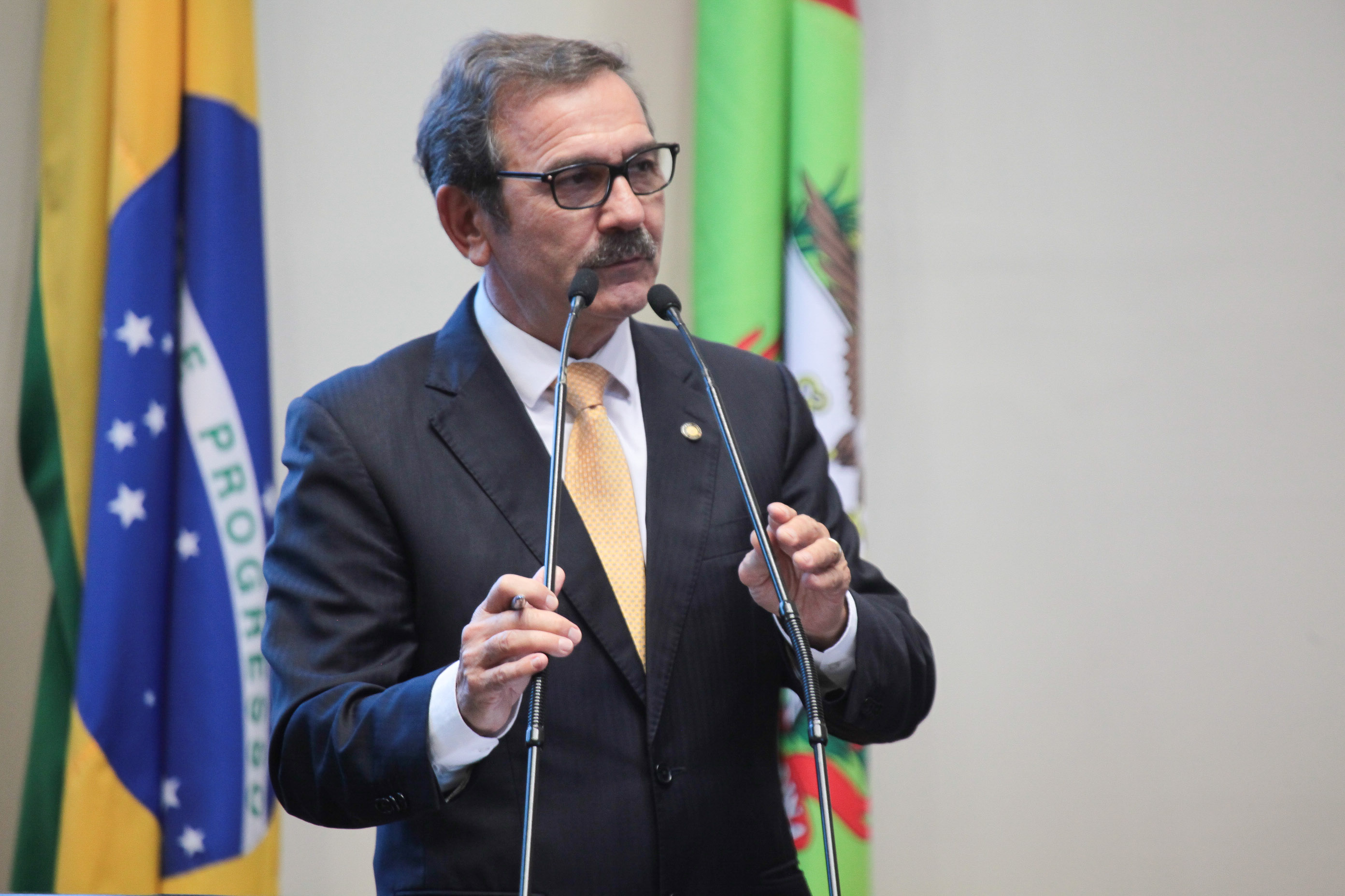 Sessão ordinária. Deputado Serafim Venzon (PSDB)