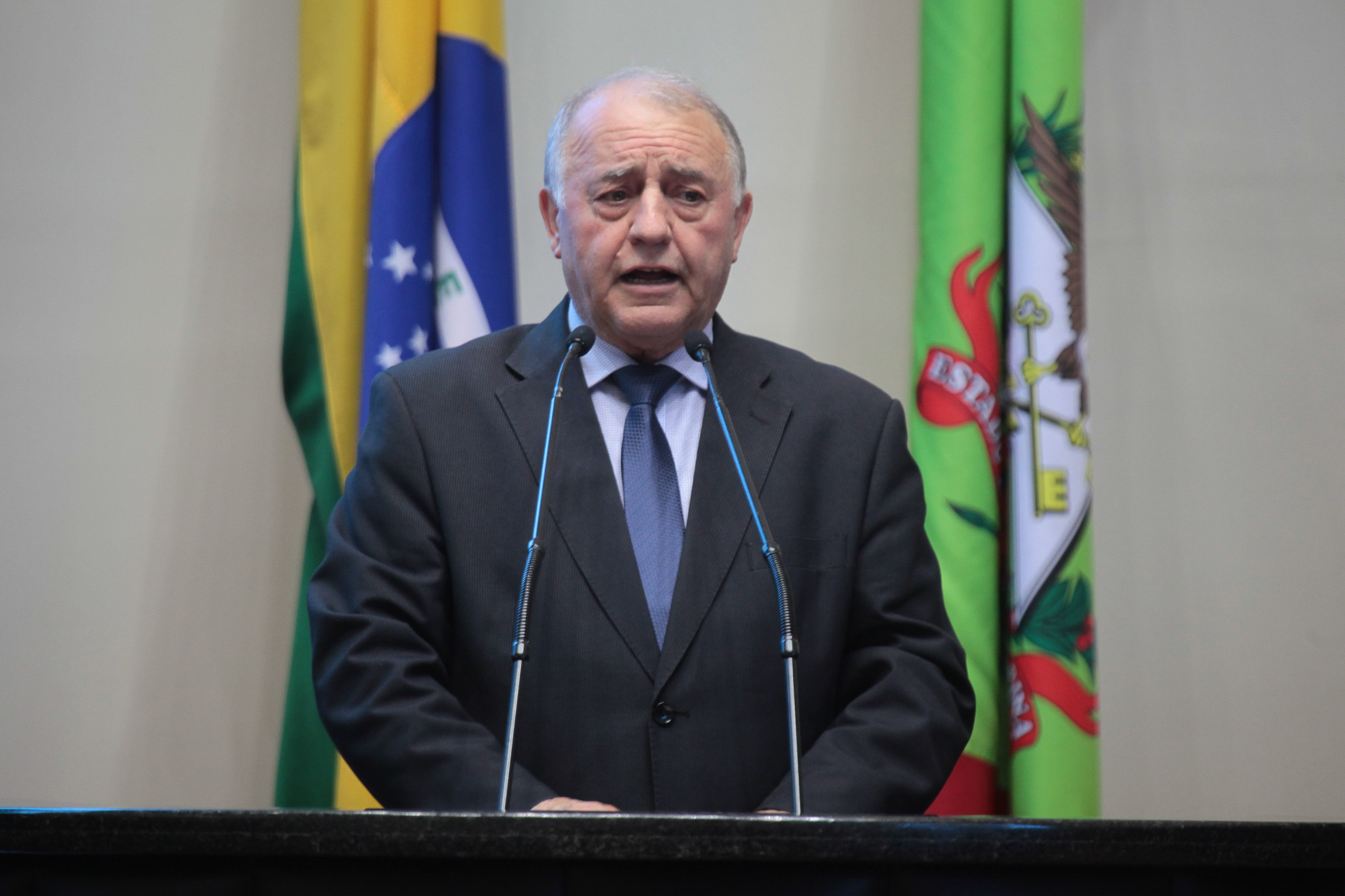 Sessão ordinária. Deputado Natalino Lazare (PR).