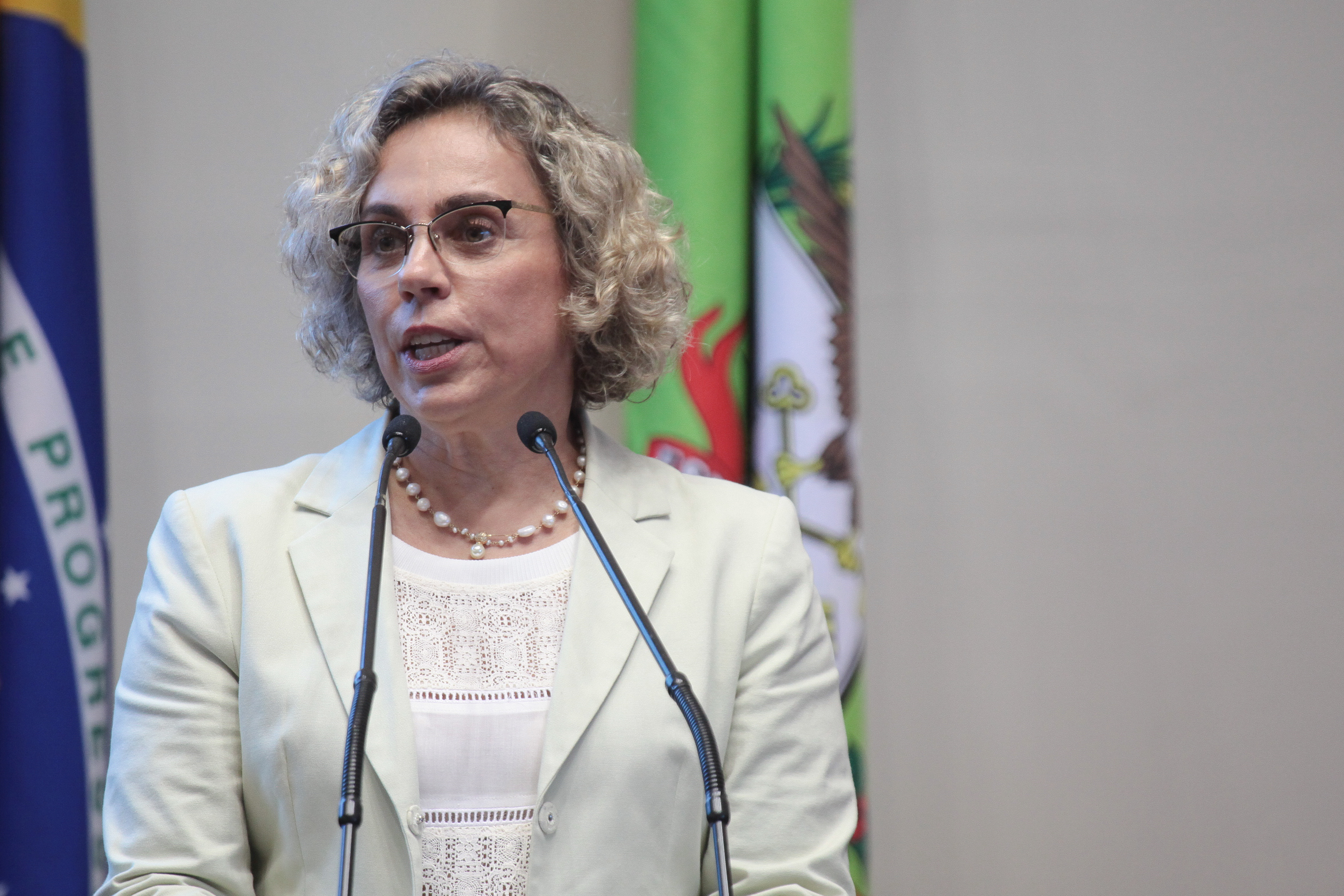Sessão ordinária. Deputada Ana Paula Lima (PT).