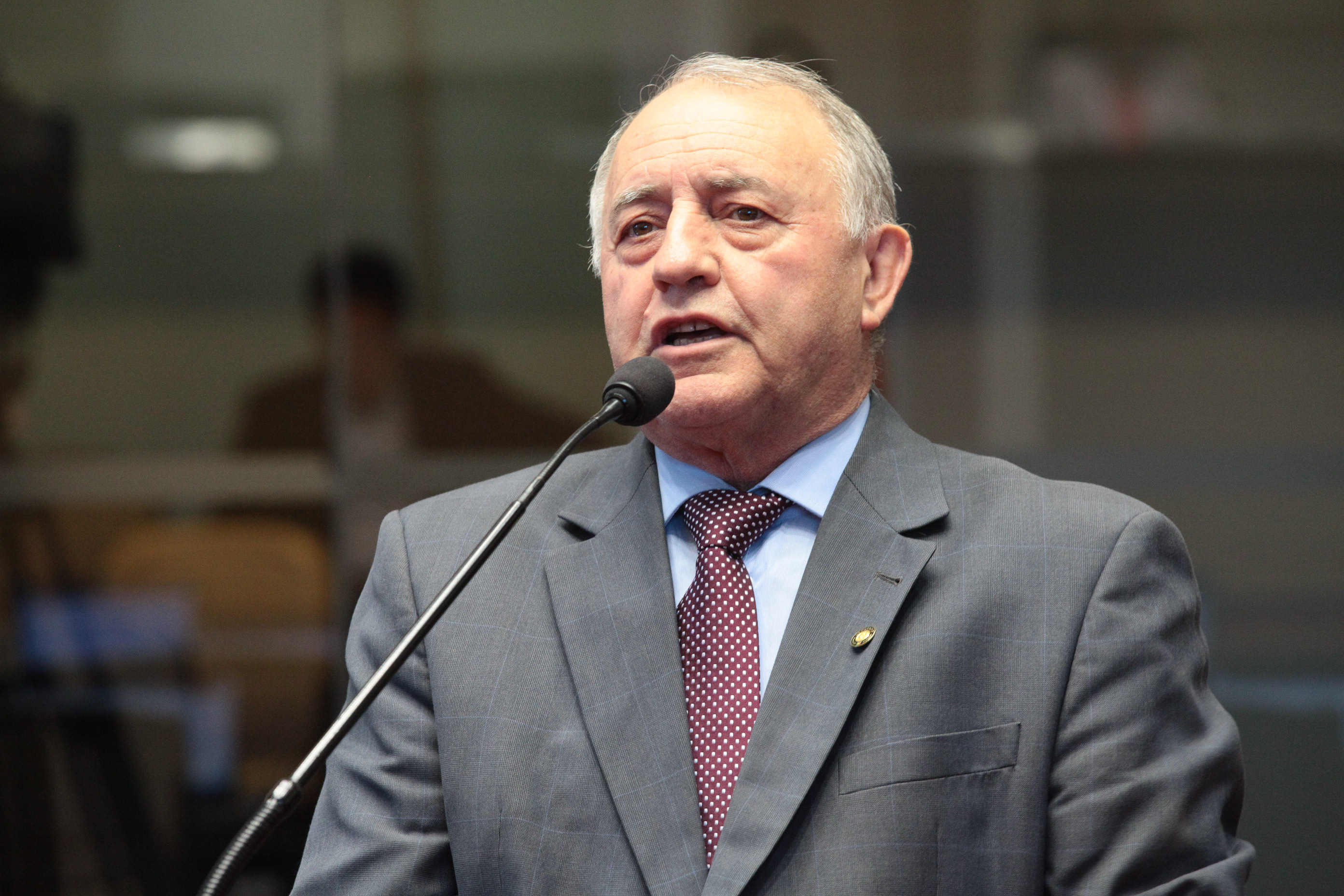 Sessão ordinária. Deputado Natalino Lazare (PR).