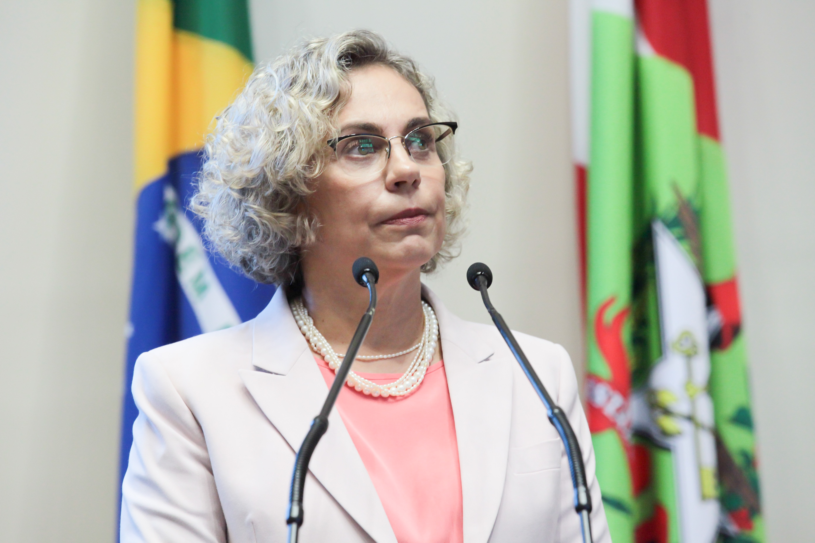 Sessão ordinária. Deputada Ana Paula Lima (PT).