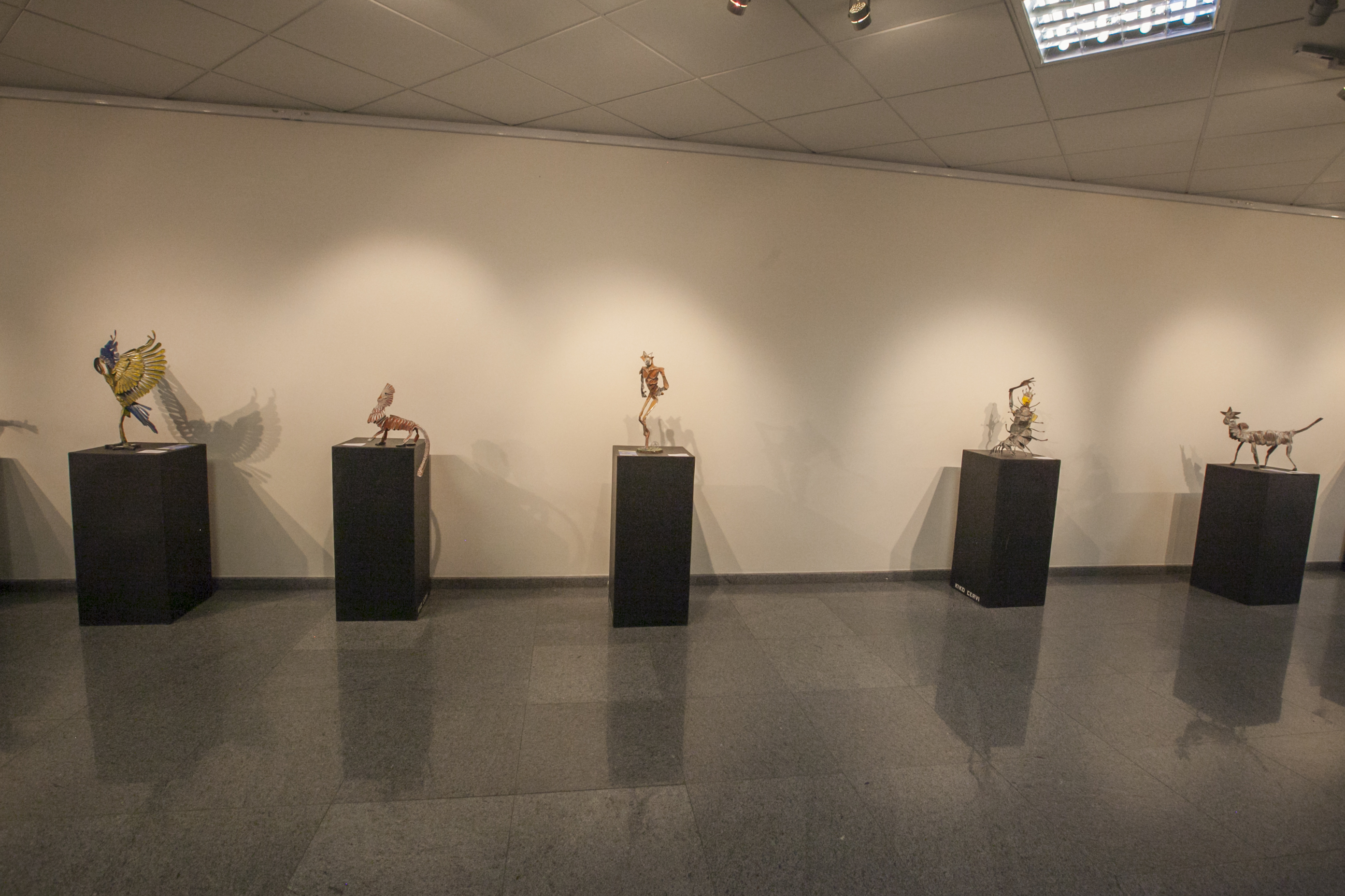 Exposição 