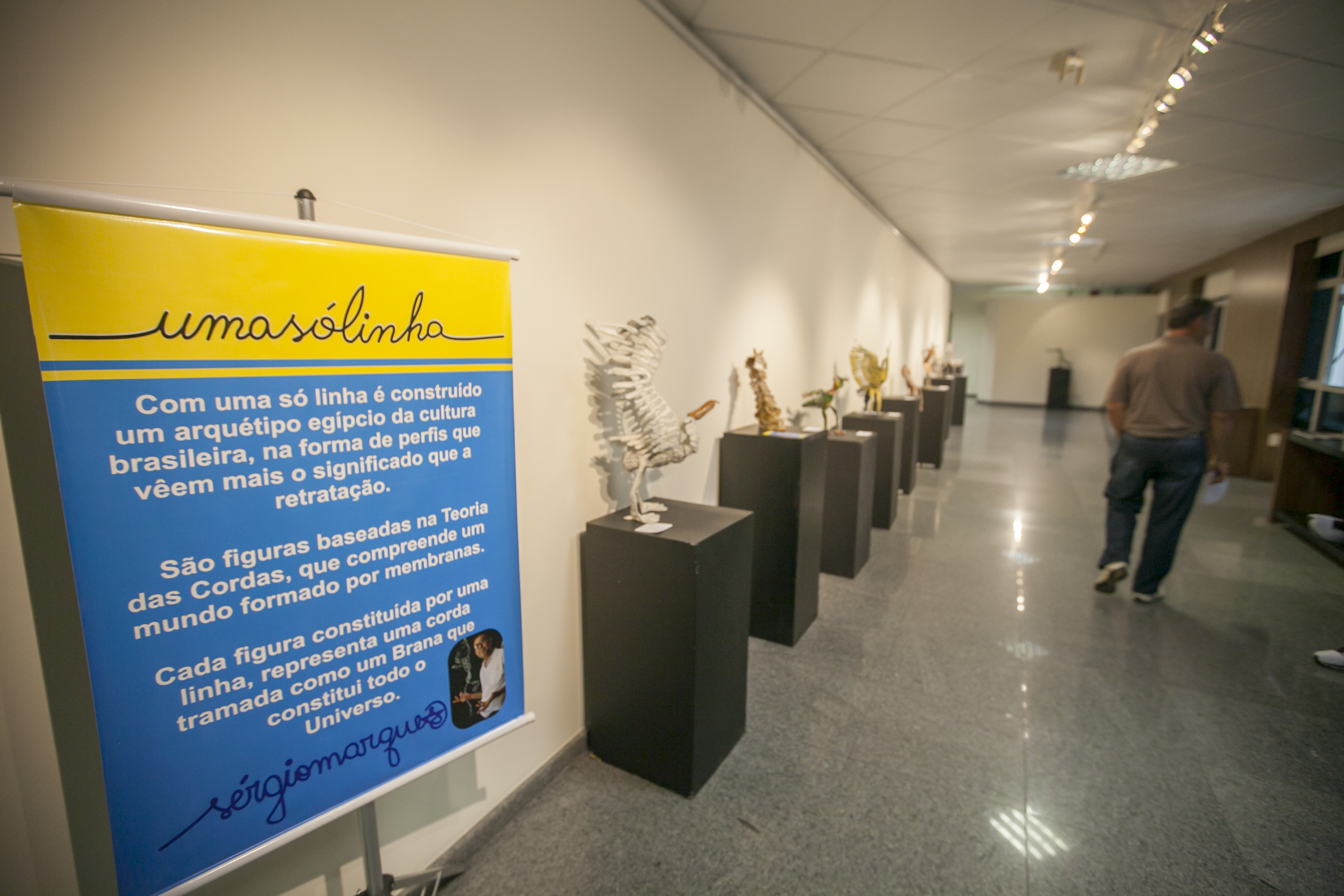 Exposição 