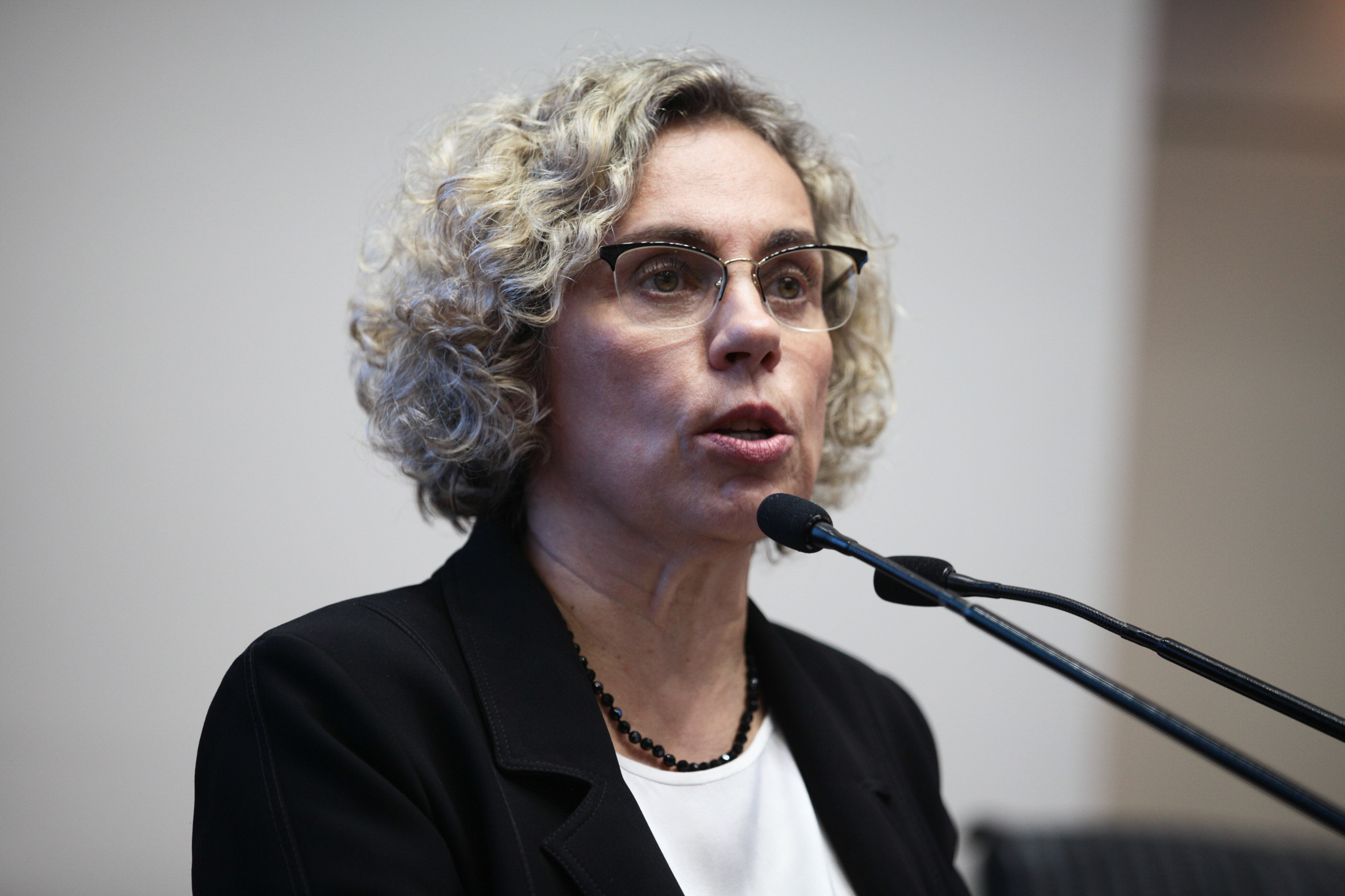 Sessão Ordinária. Deputada Ana Paula Lima (PT).